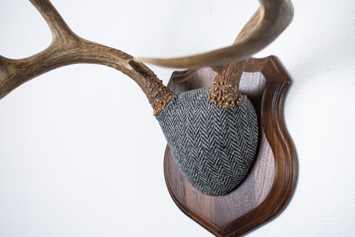 Mule Deer Antler Mount | Grey & Black Herringbone | 10