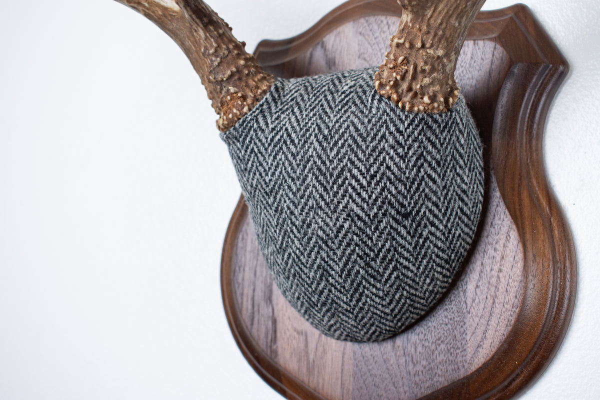 Mule Deer Antler Mount | Grey & Black Herringbone | 10