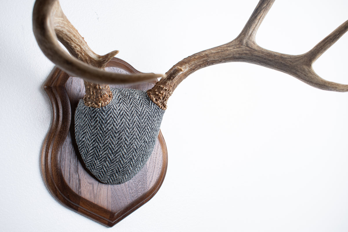 Mule Deer Antler Mount | Grey & Black Herringbone | 10