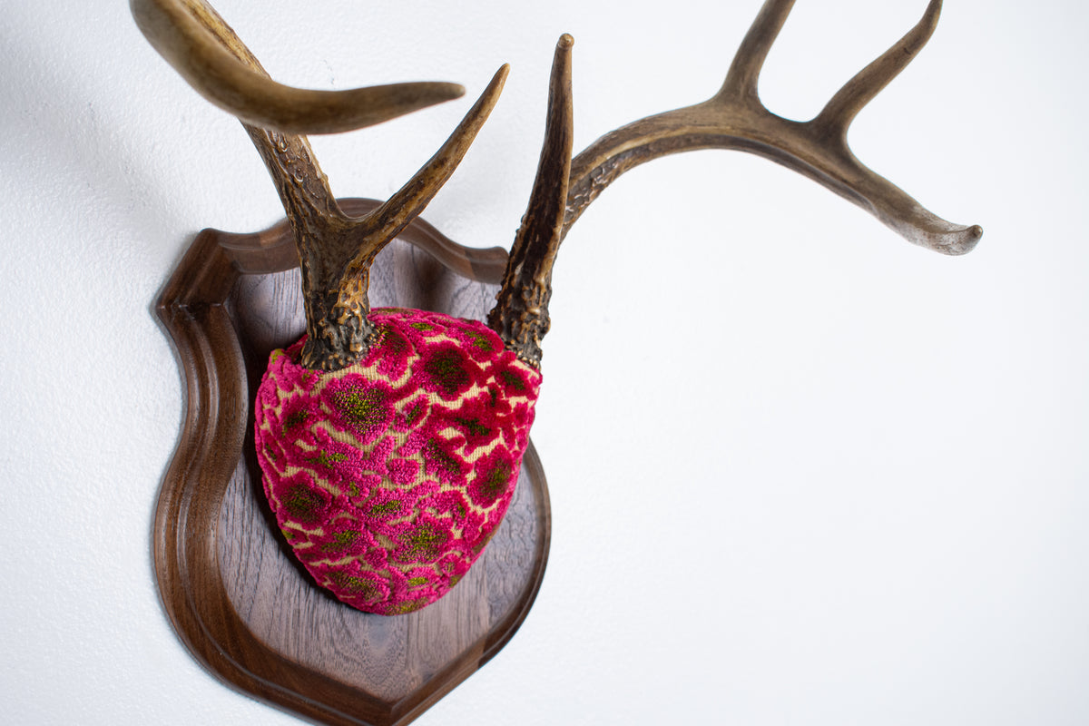 Whitetail Deer Antler Mount | Magenta & Olive | 08