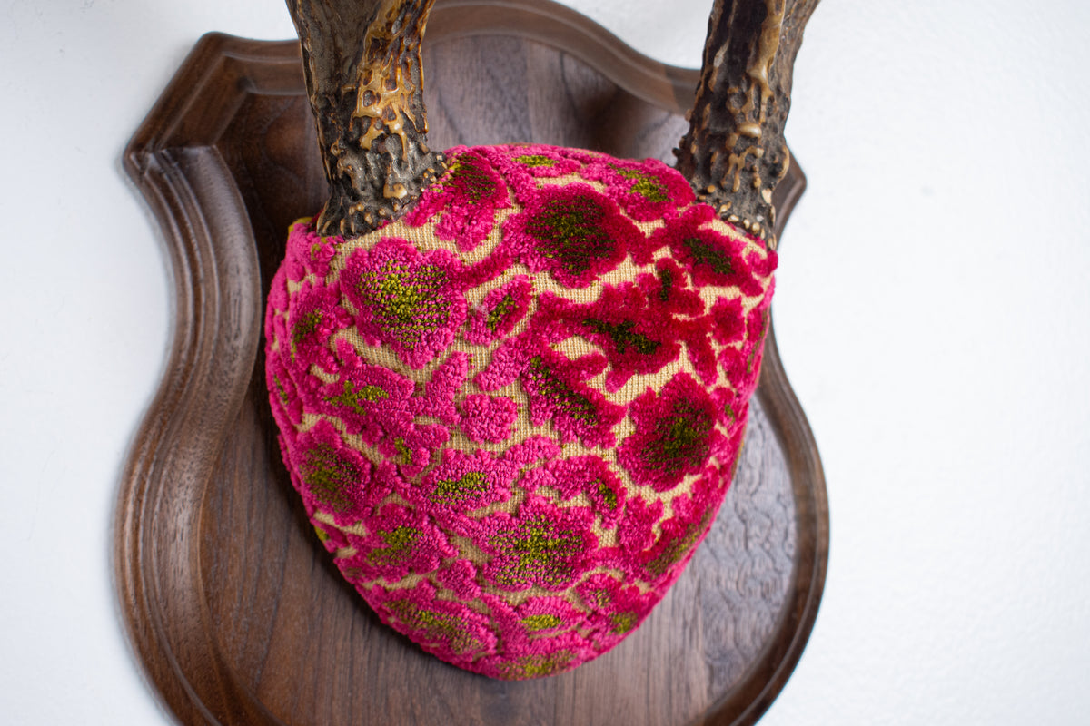 Whitetail Deer Antler Mount | Magenta & Olive | 08
