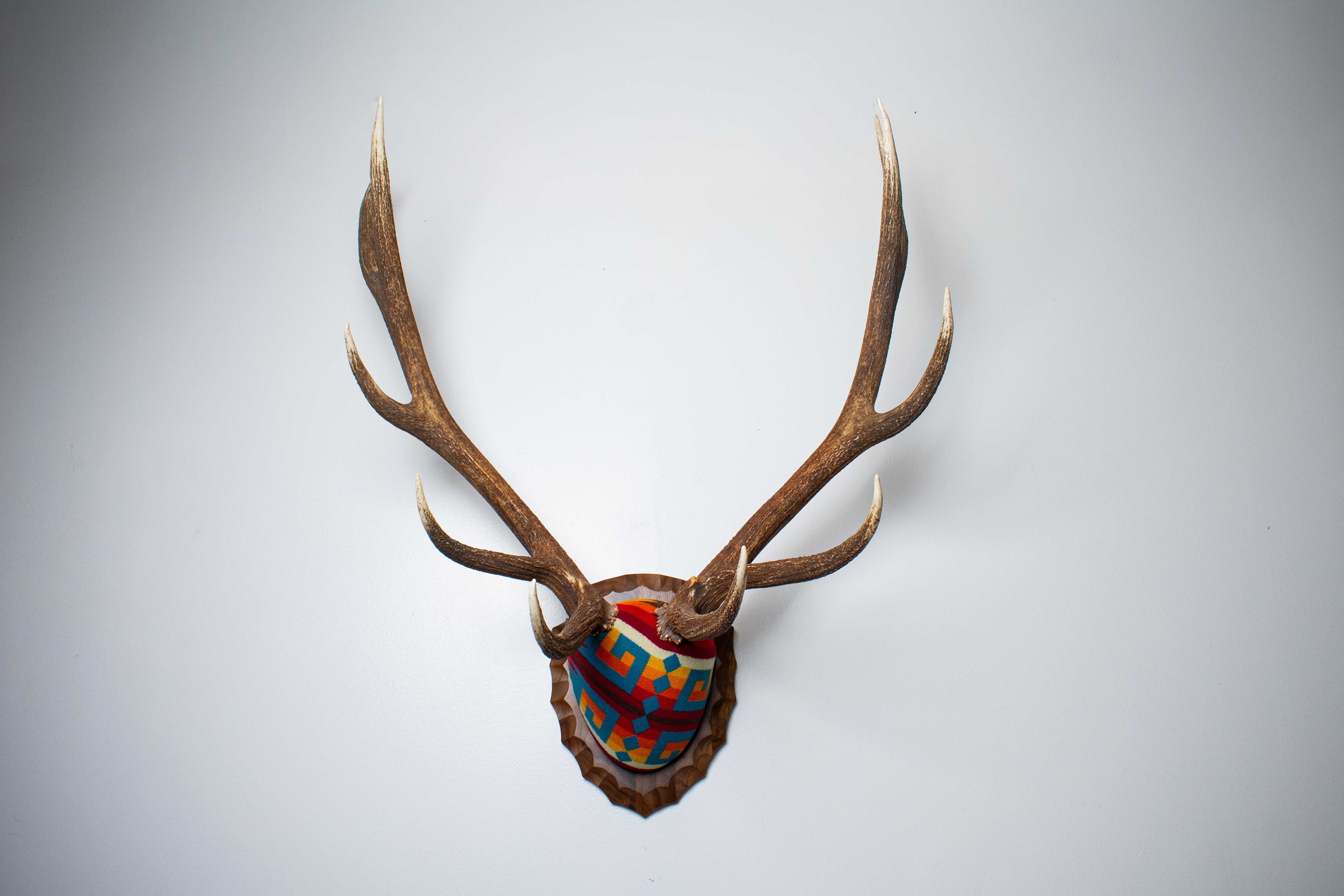 Elk Antler Mount | Sedona | 25