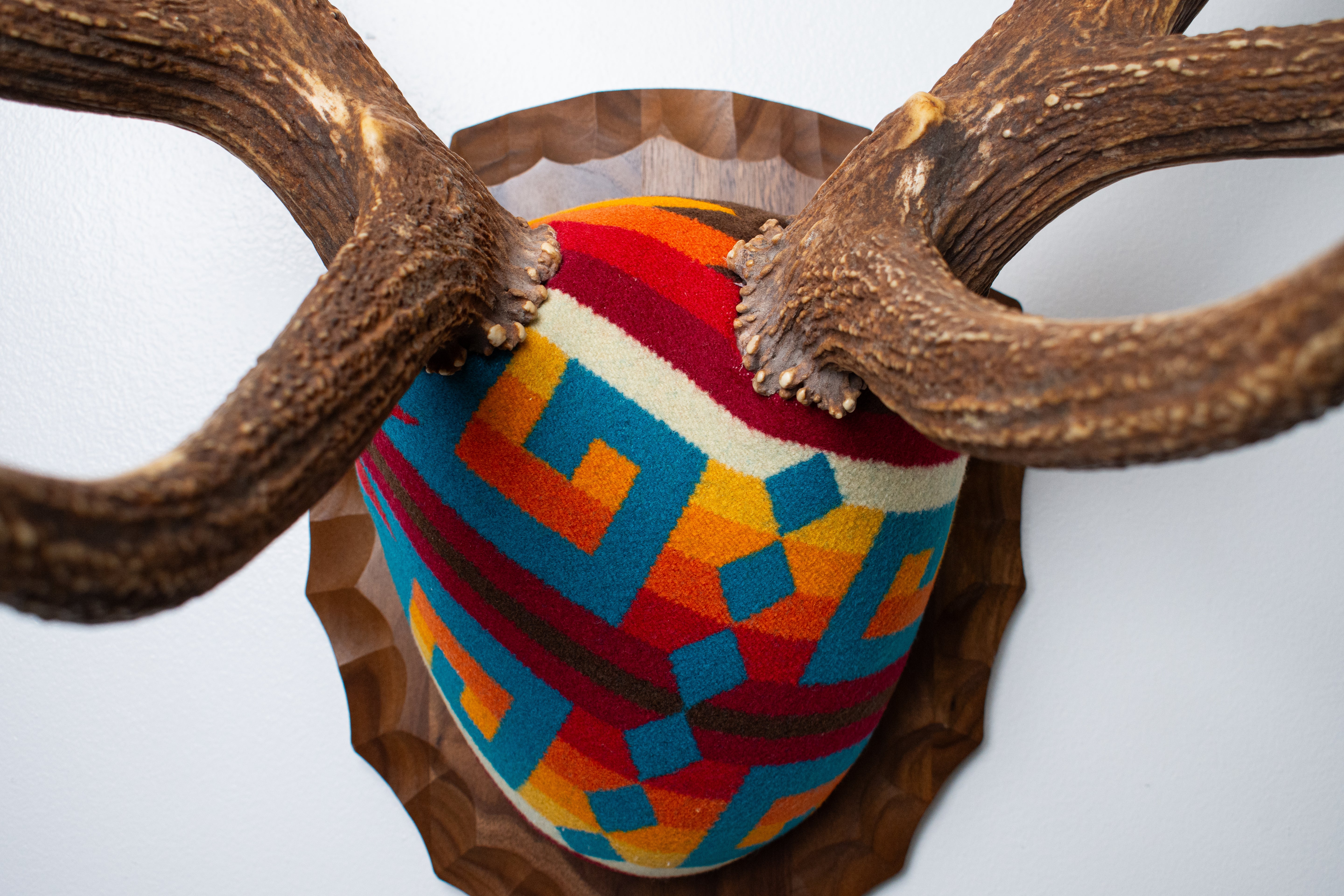Elk Antler Mount | Sedona | 25