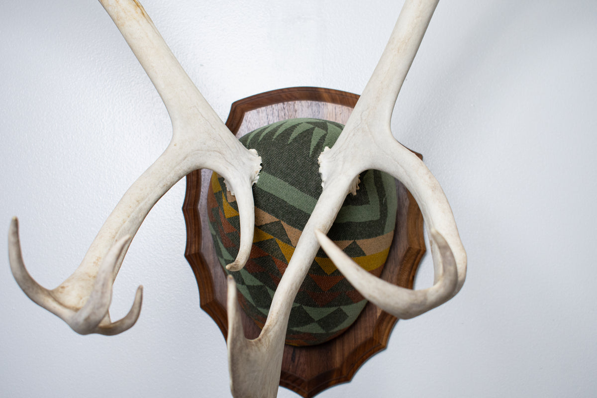 Caribou Antler Mount | Sage | 26
