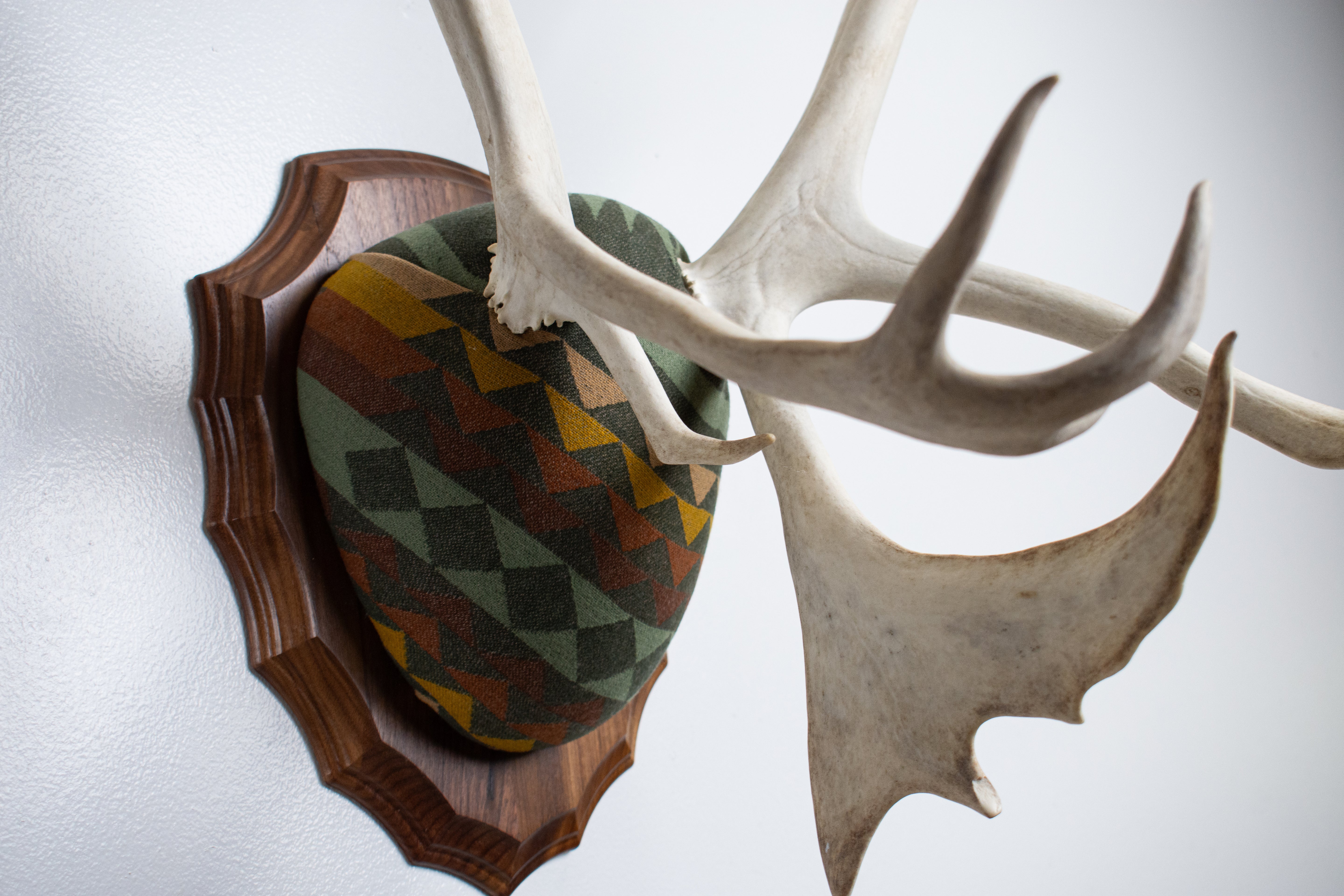 Caribou Antler Mount | Sage | 26