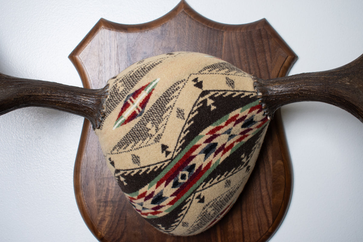 Moose Antler Mount | Mesa | 28