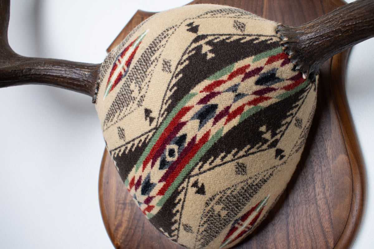 Moose Antler Mount | Mesa | 28