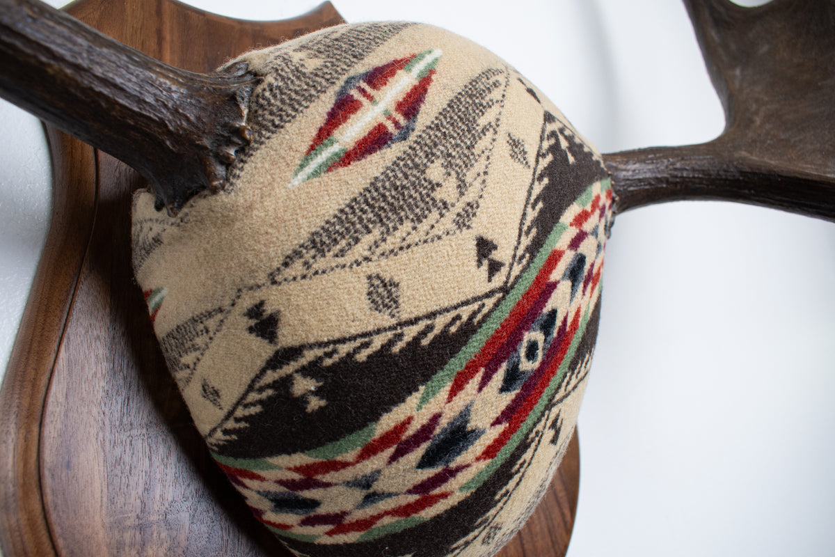 Moose Antler Mount | Mesa | 28