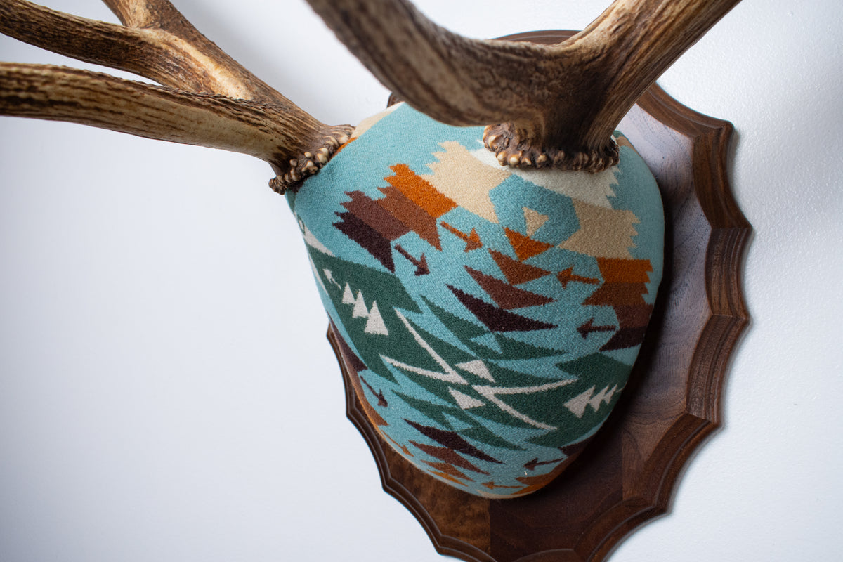 Elk Antler Mount | Juniper | 29