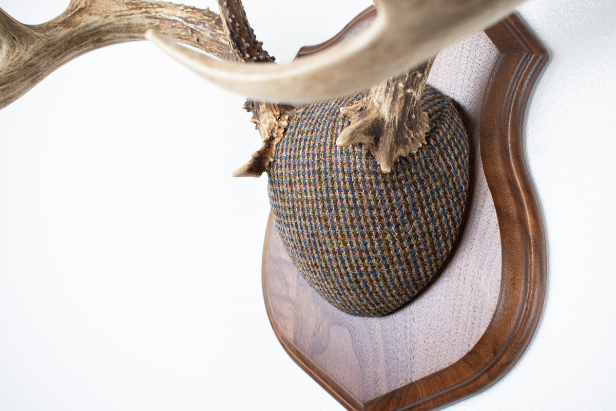 Whitetail Deer Antler Mount | Multi-colored | 68