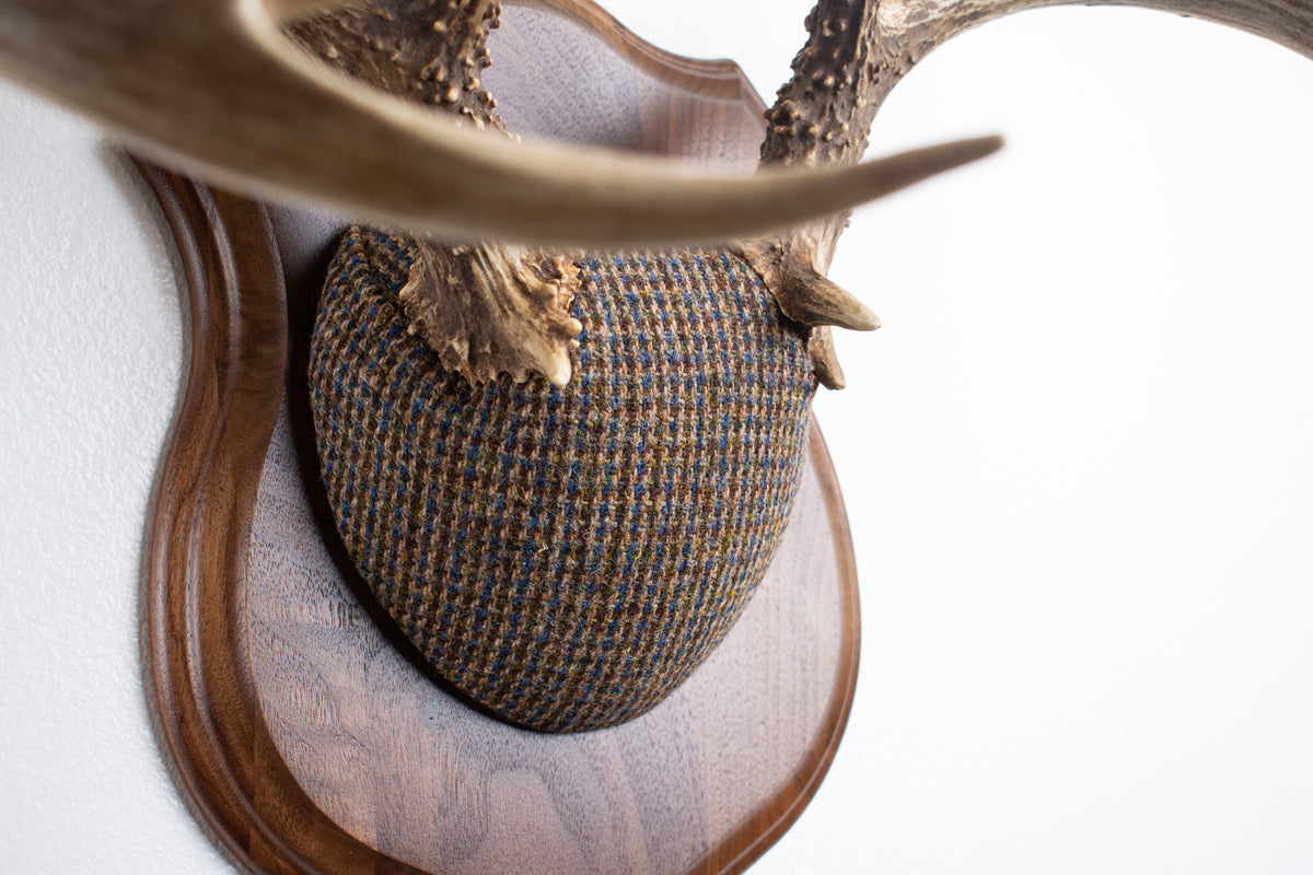 Whitetail Deer Antler Mount | Multi-colored | 68