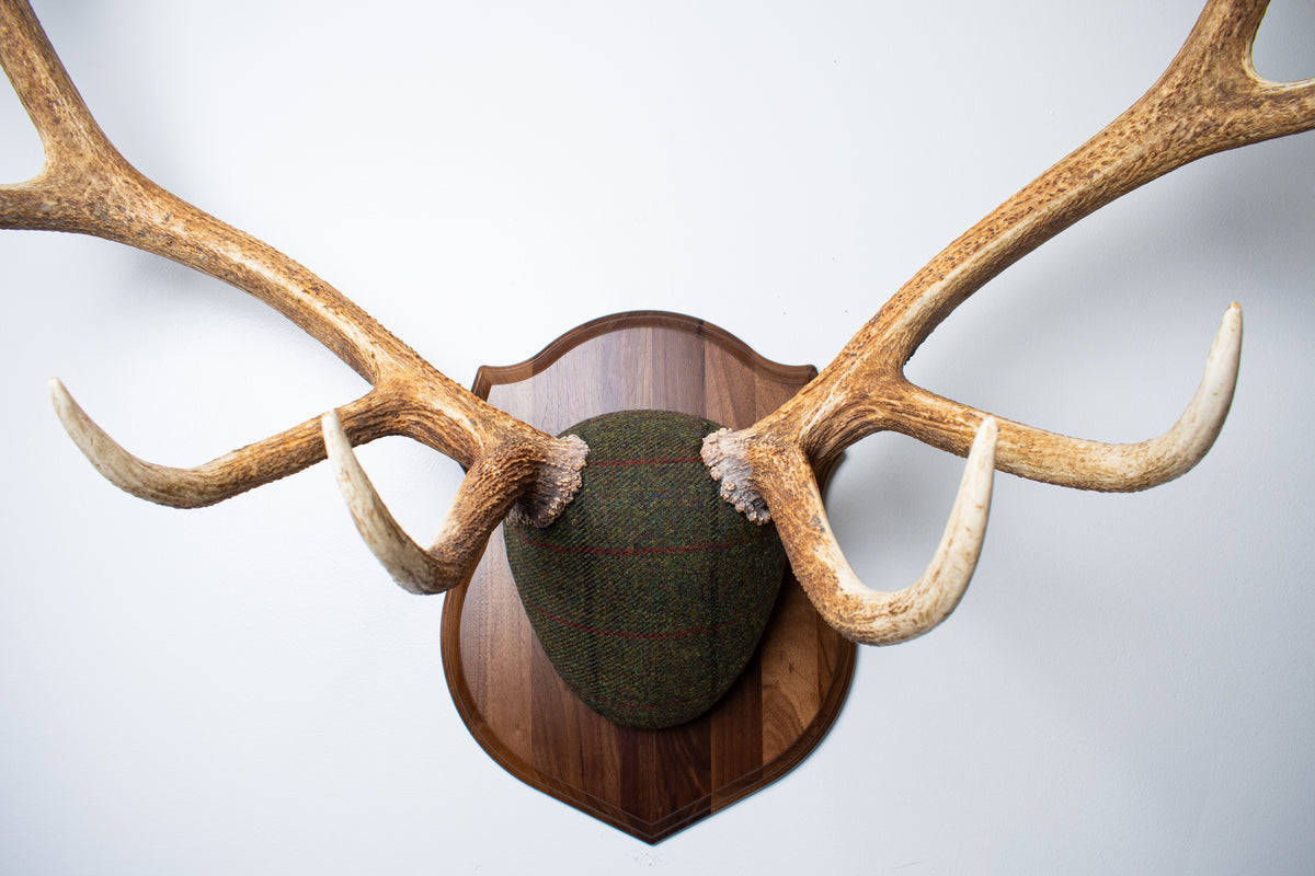Elk Antler Mount | Green mix with Black and Red Overcheck | 69