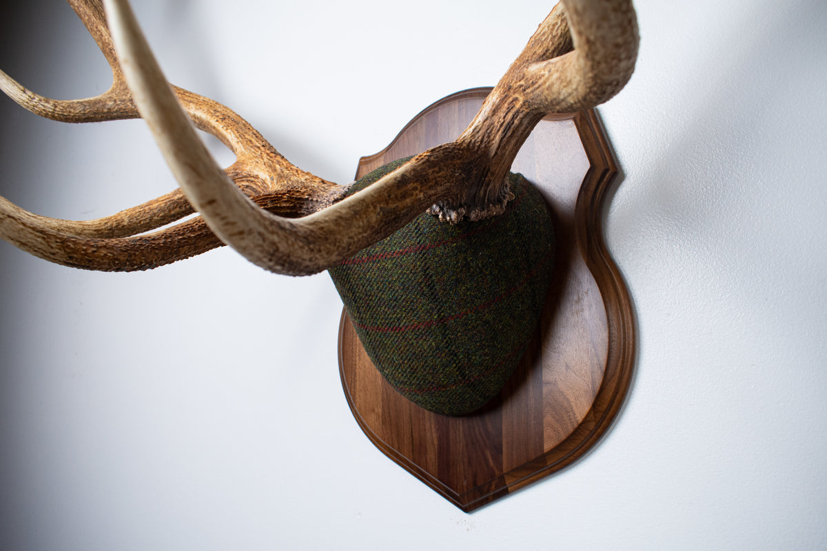 Elk Antler Mount | Green mix with Black and Red Overcheck | 69