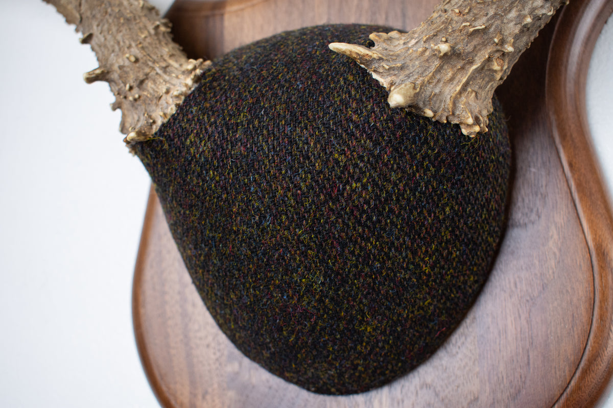 Mule Deer Antler Mount | Green and Brown Barleycorn | 70