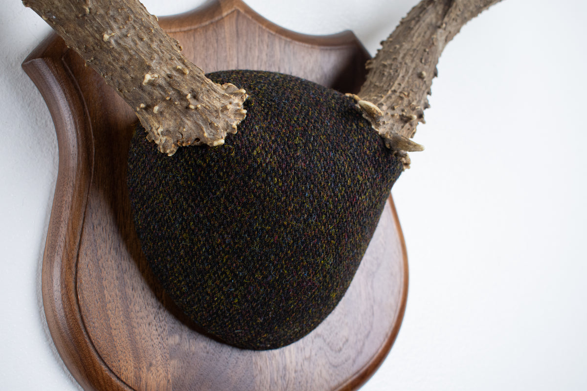 Mule Deer Antler Mount | Green and Brown Barleycorn | 70