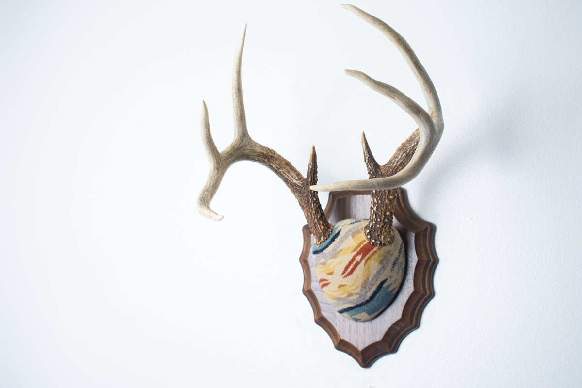 Whitetail Deer Antler Mount | Camas | 32