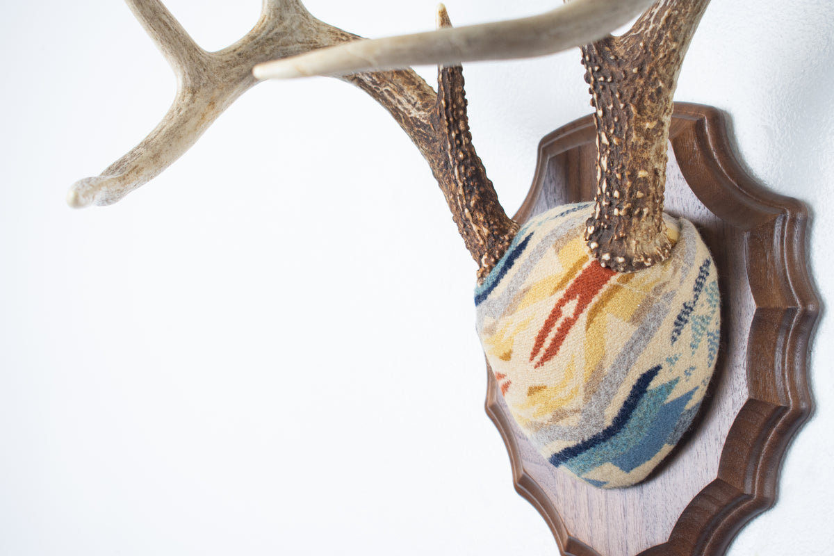 Whitetail Deer Antler Mount | Camas | 32