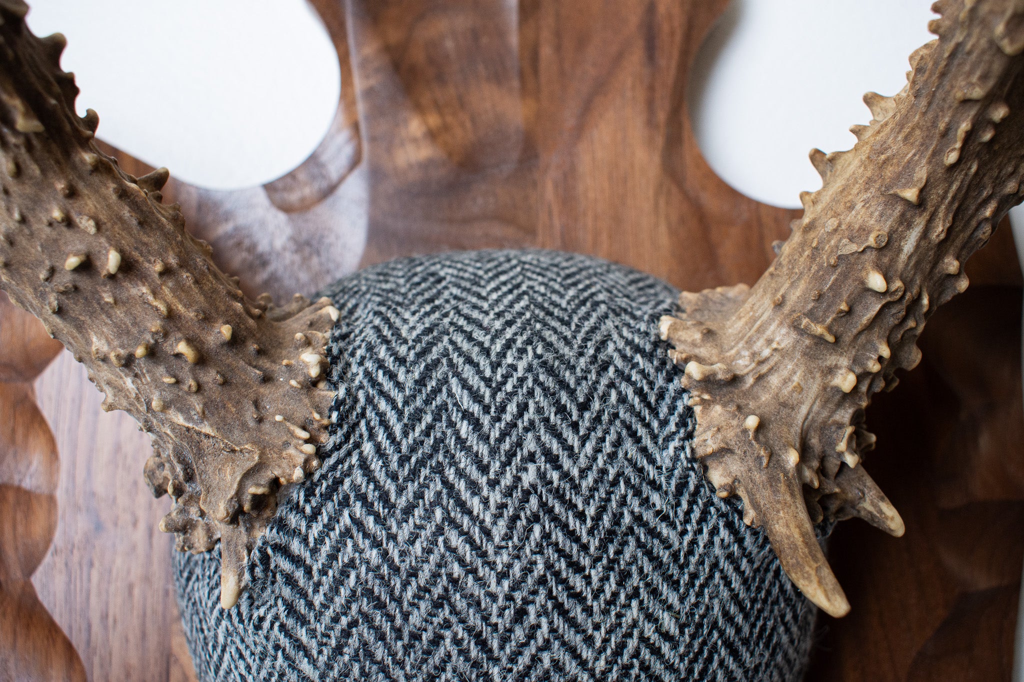 Mule Deer Antler Mount | Grey & Black Herringbone | 03