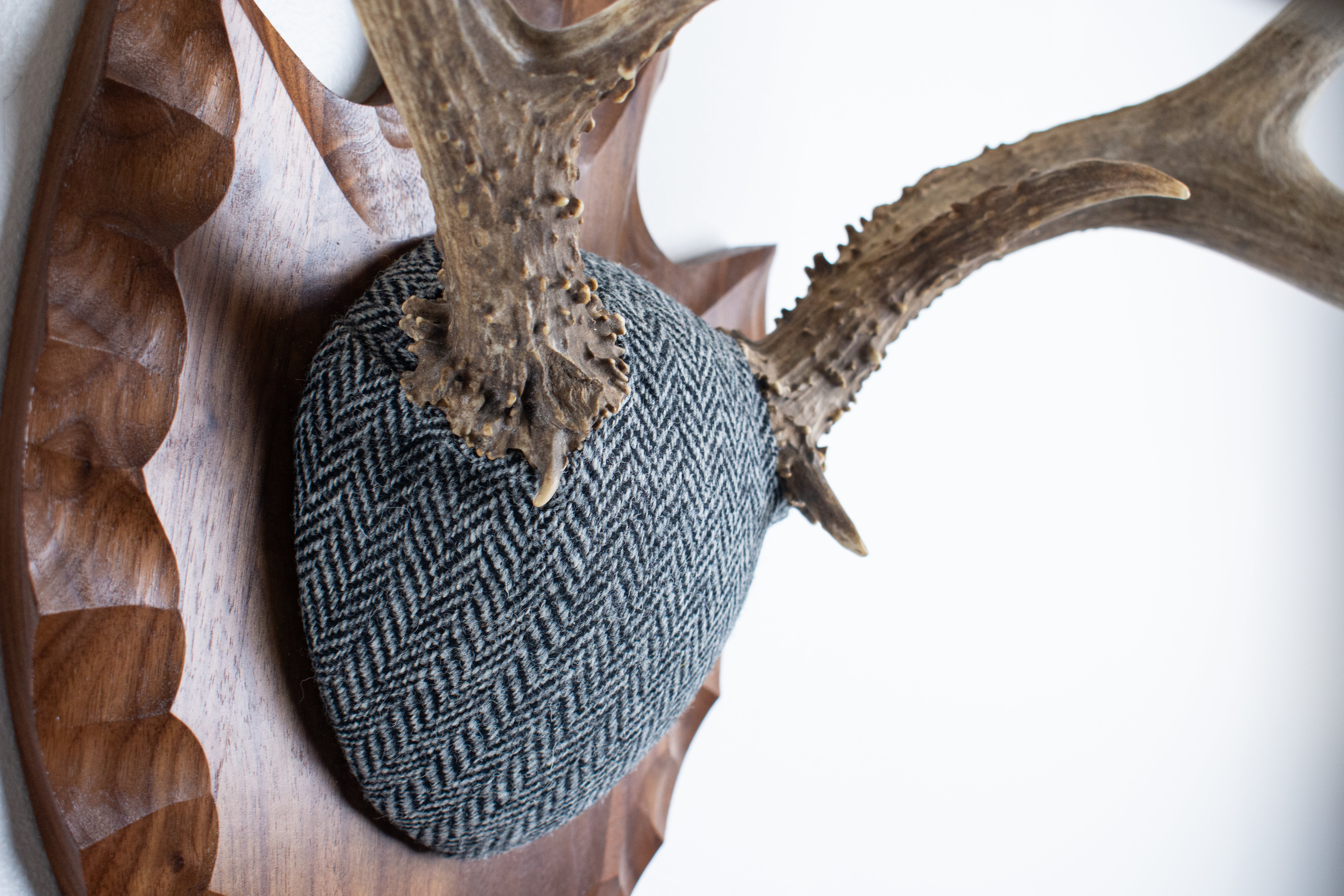 Mule Deer Antler Mount | Grey & Black Herringbone | 03