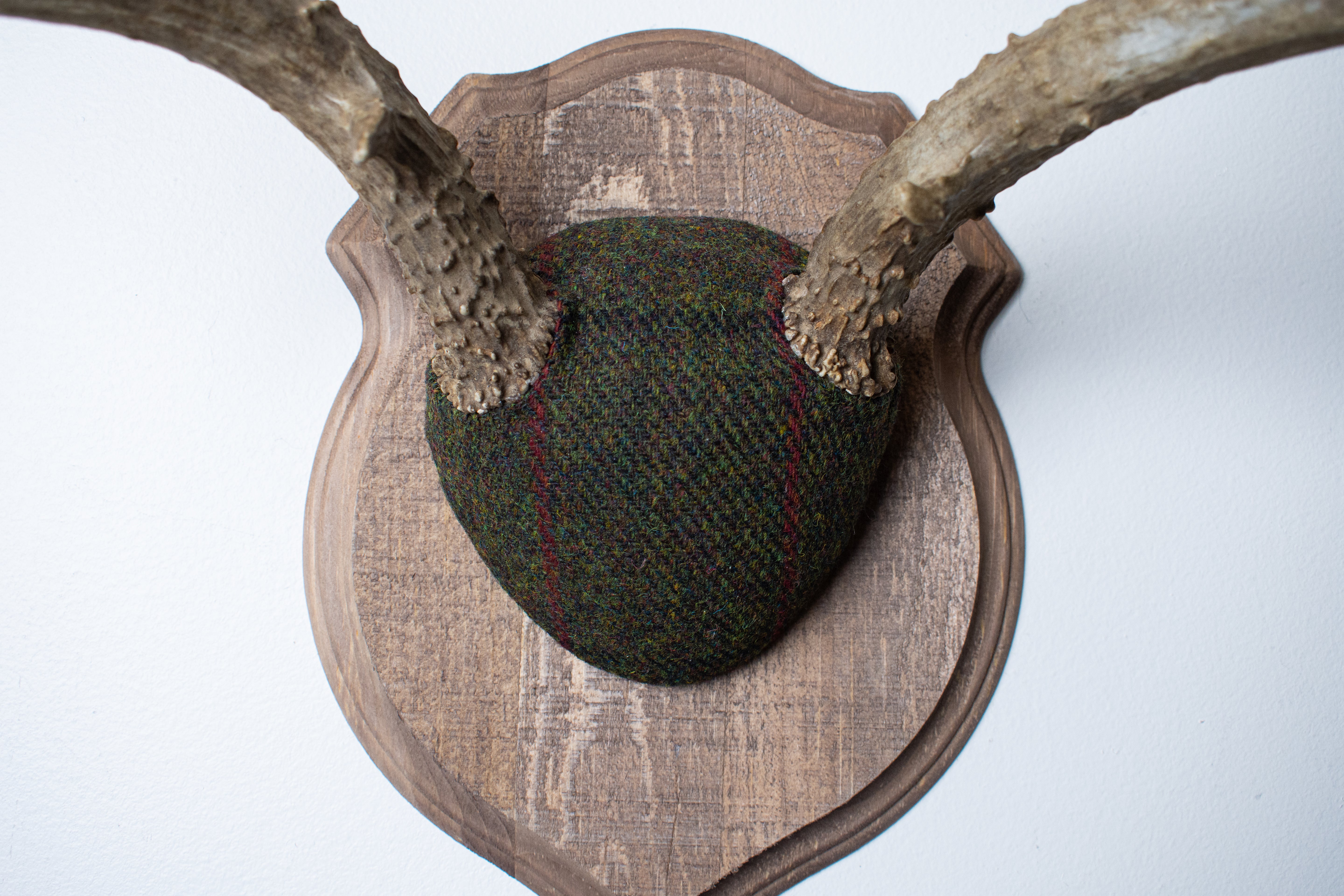 Mule Deer Antler Mount | Green with Black and Red Overcheck | 01