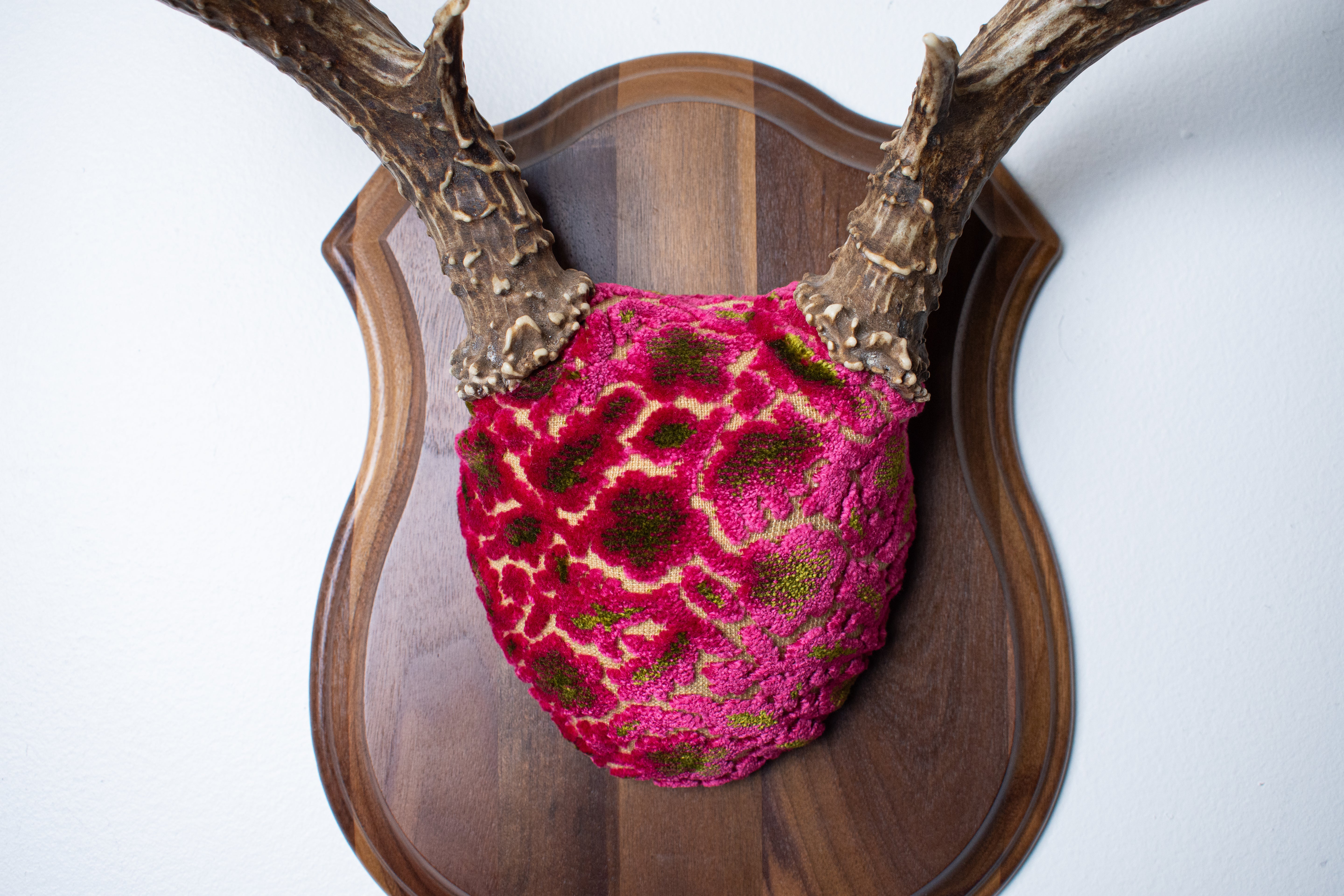 Mule Deer Antler Mount | Magenta & Olive | 01