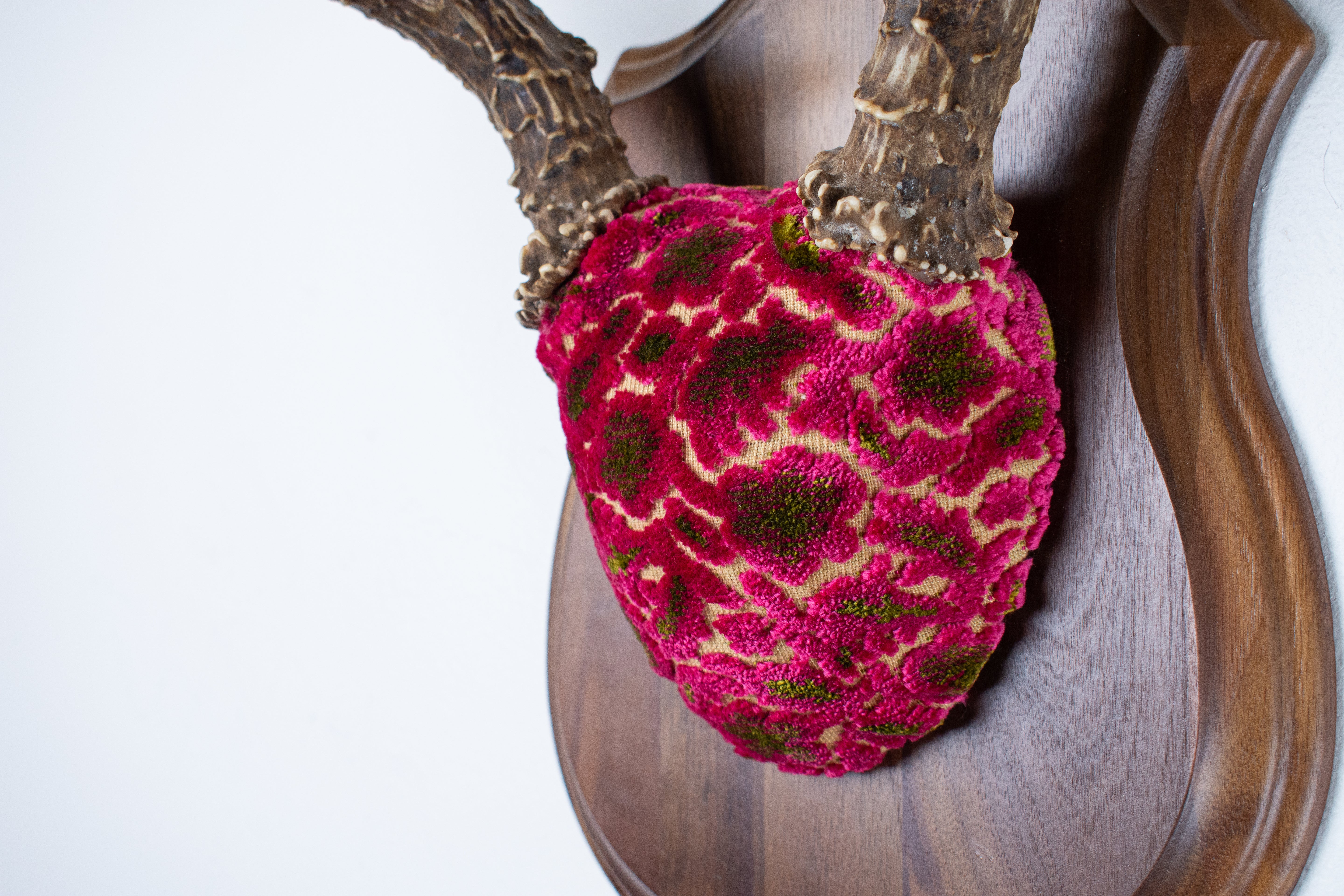 Mule Deer Antler Mount | Magenta & Olive | 01