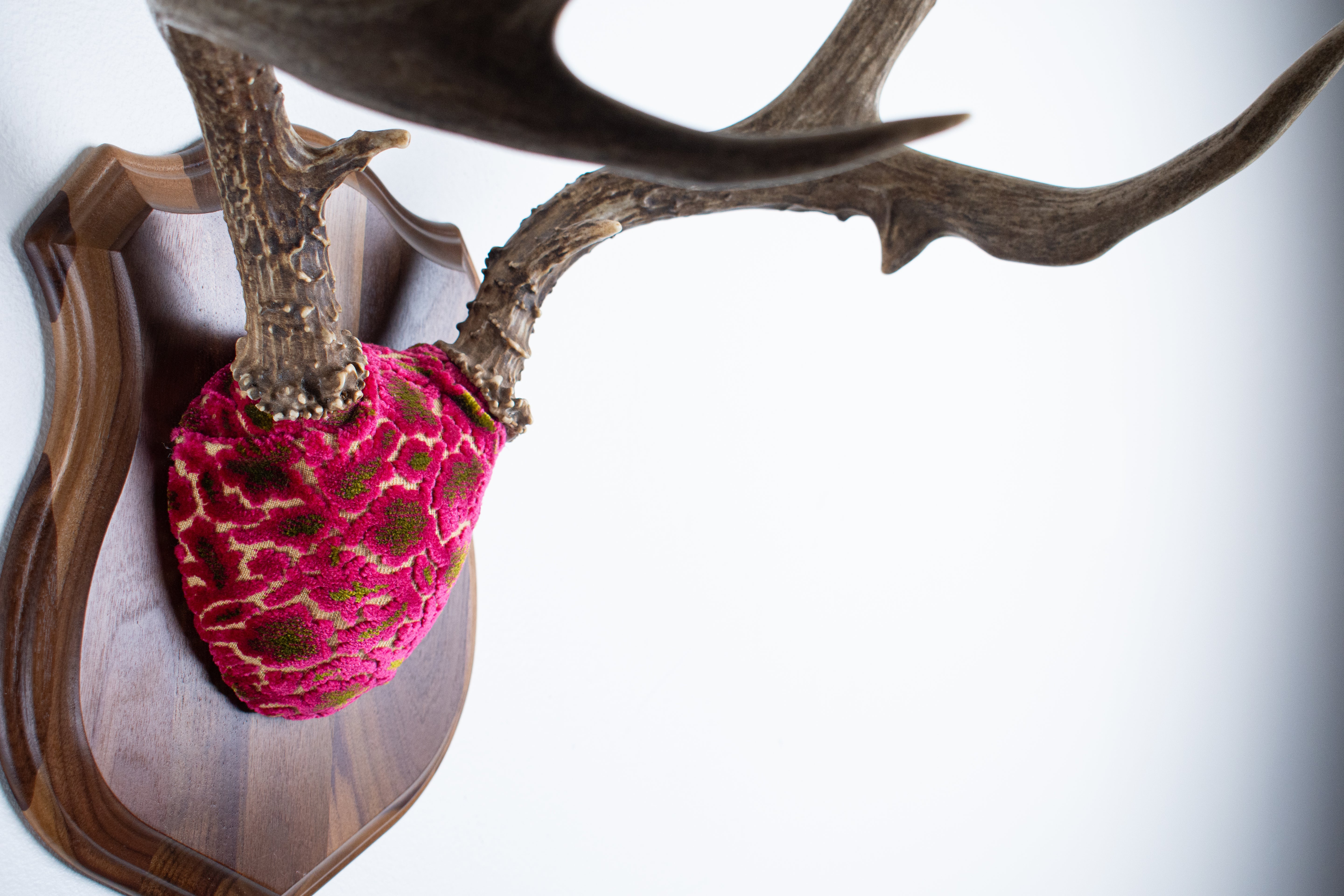 Mule Deer Antler Mount | Magenta & Olive | 01
