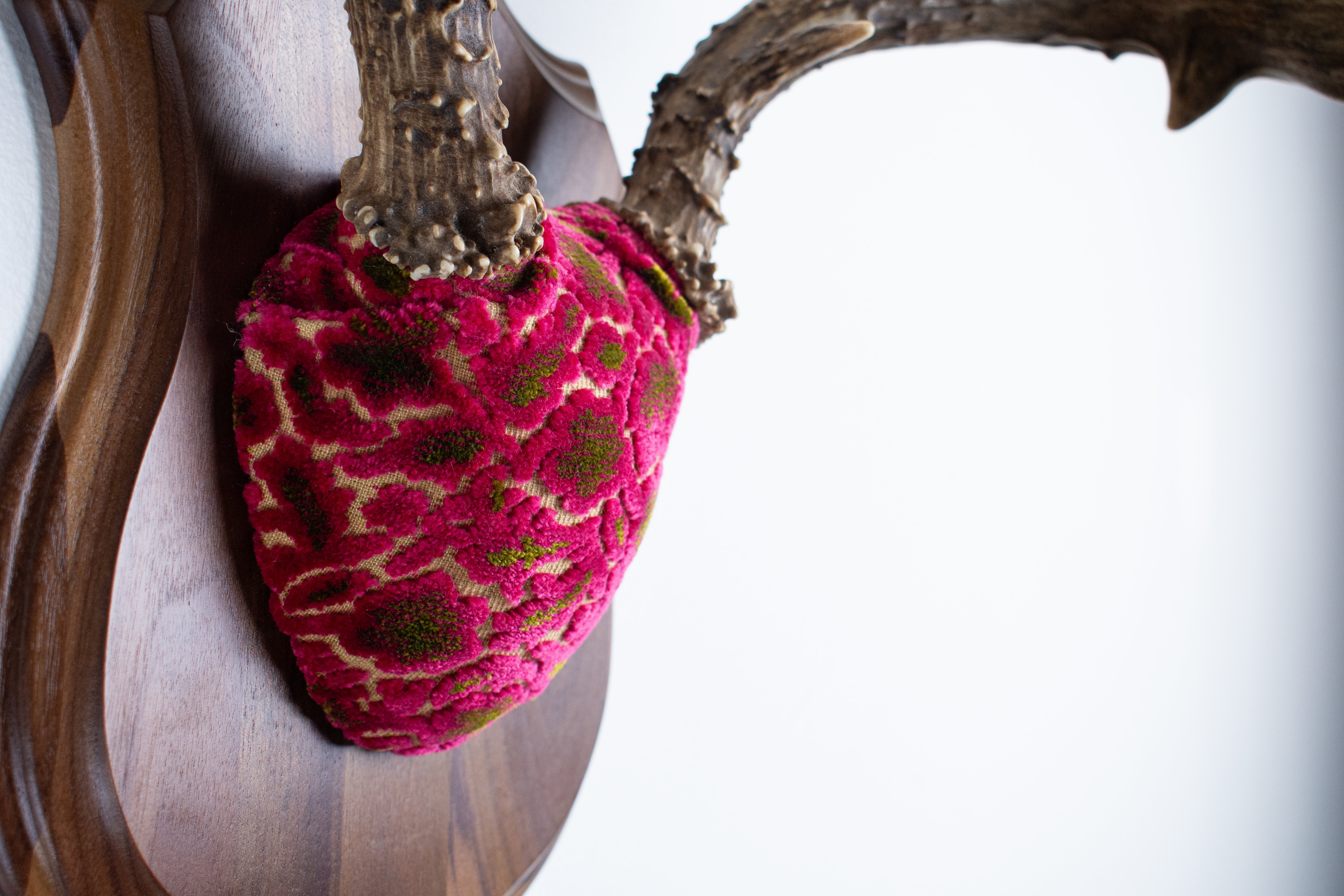 Mule Deer Antler Mount | Magenta & Olive | 01