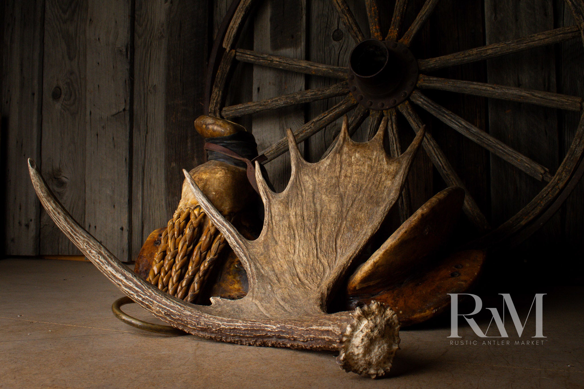 Moose Antler | DF 07