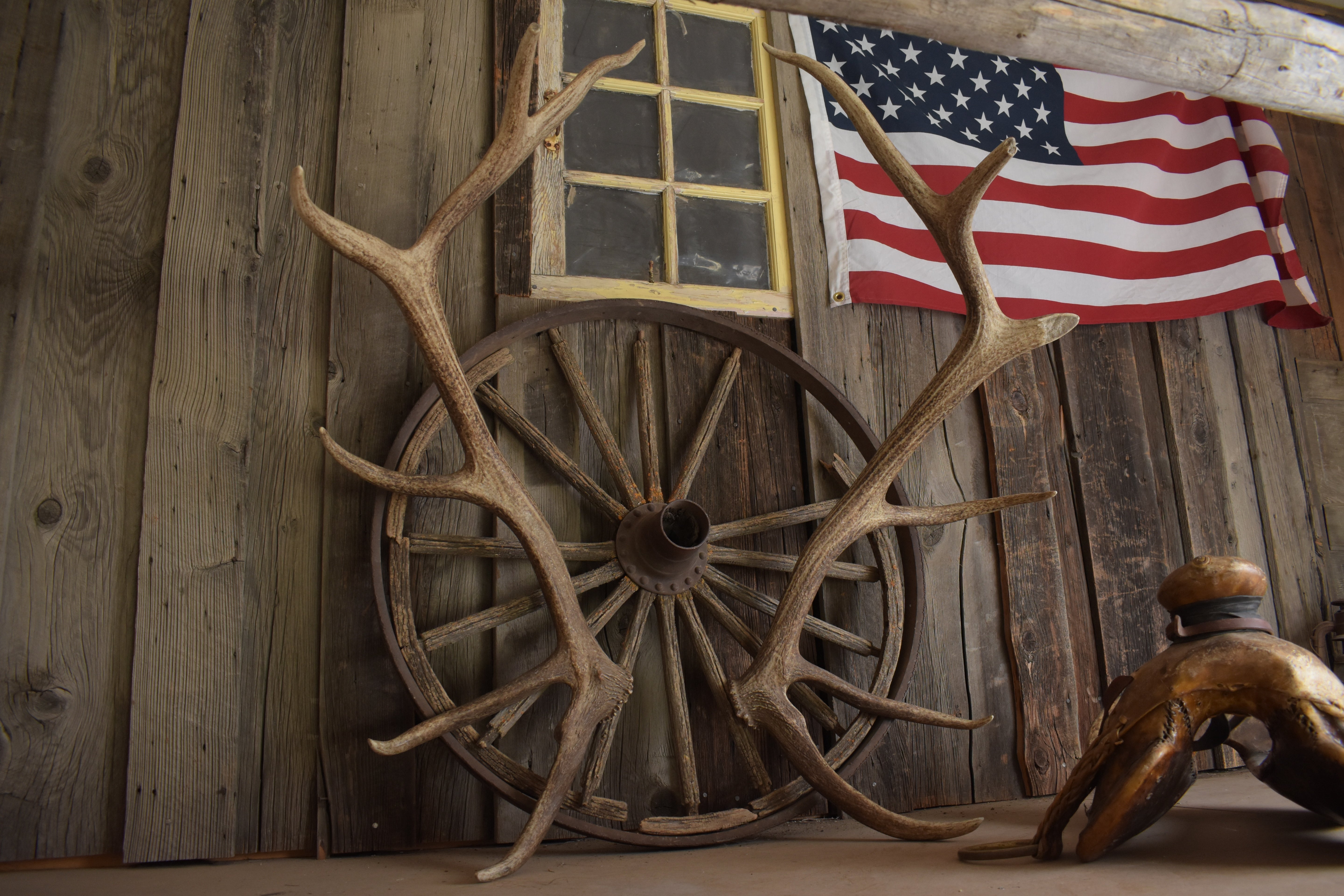 Elk Antler Set | Extra-Large | 155