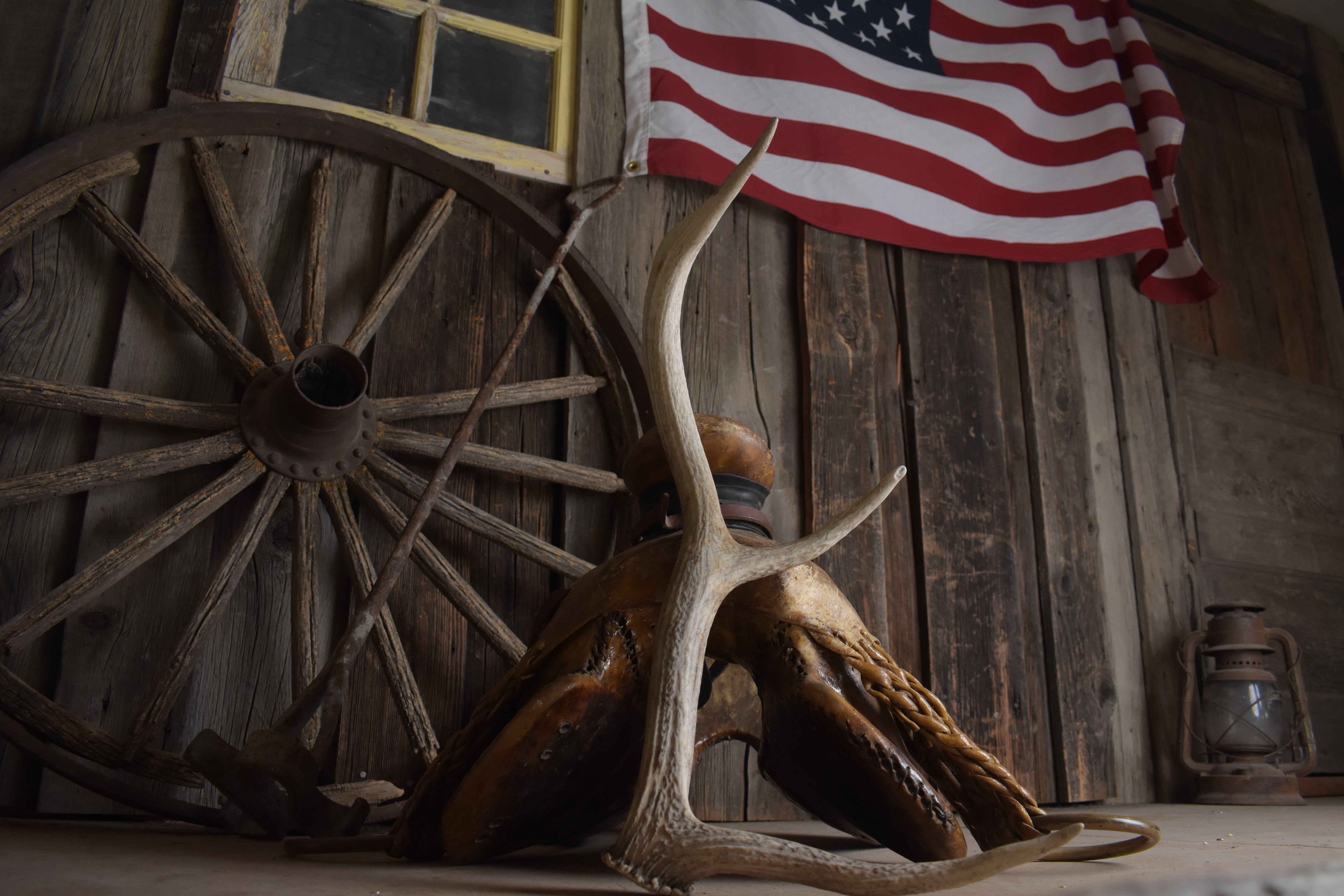 Elk Antler | Small Size | 126