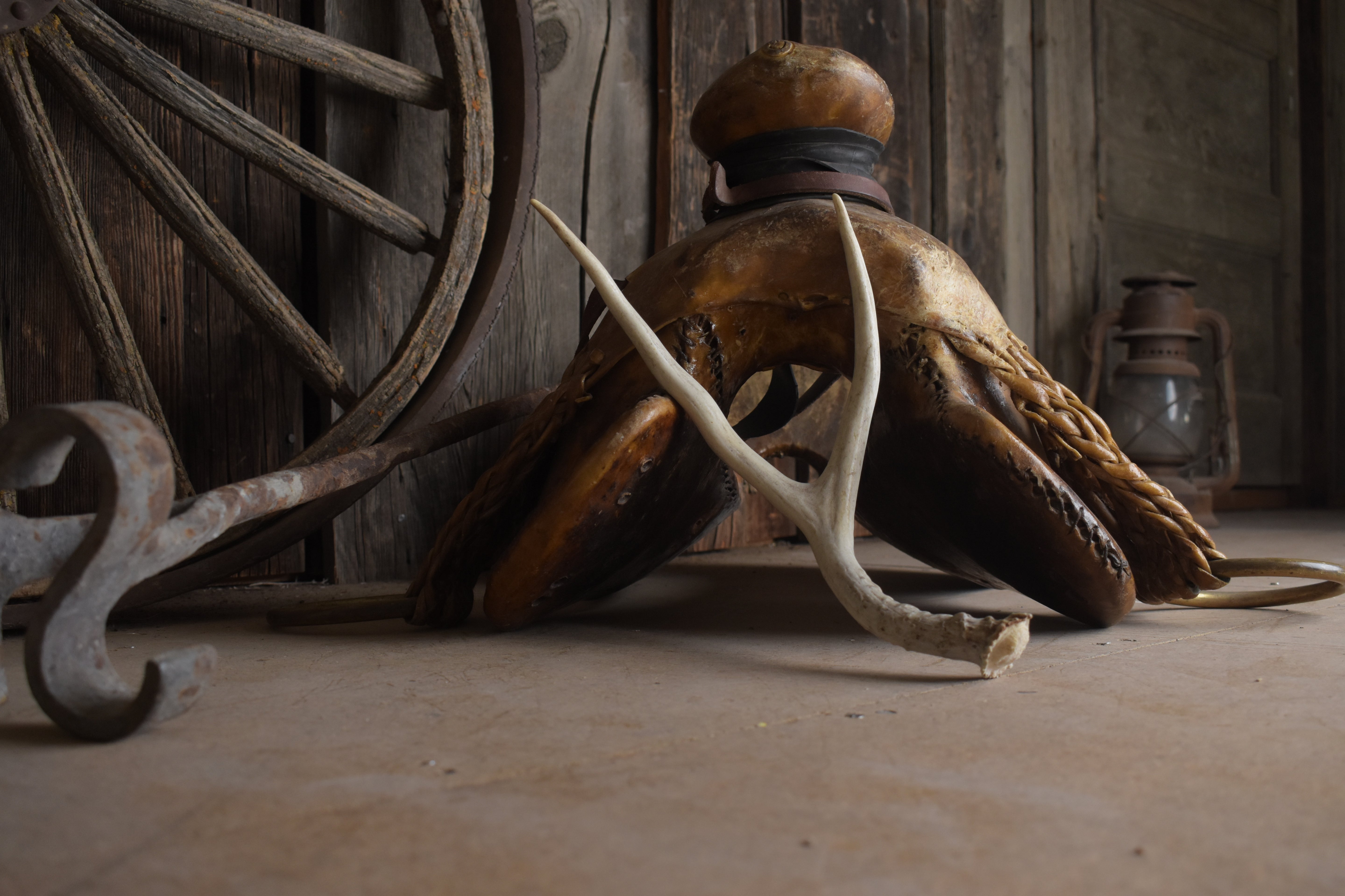 Mule Deer Antler | Small Size | 65