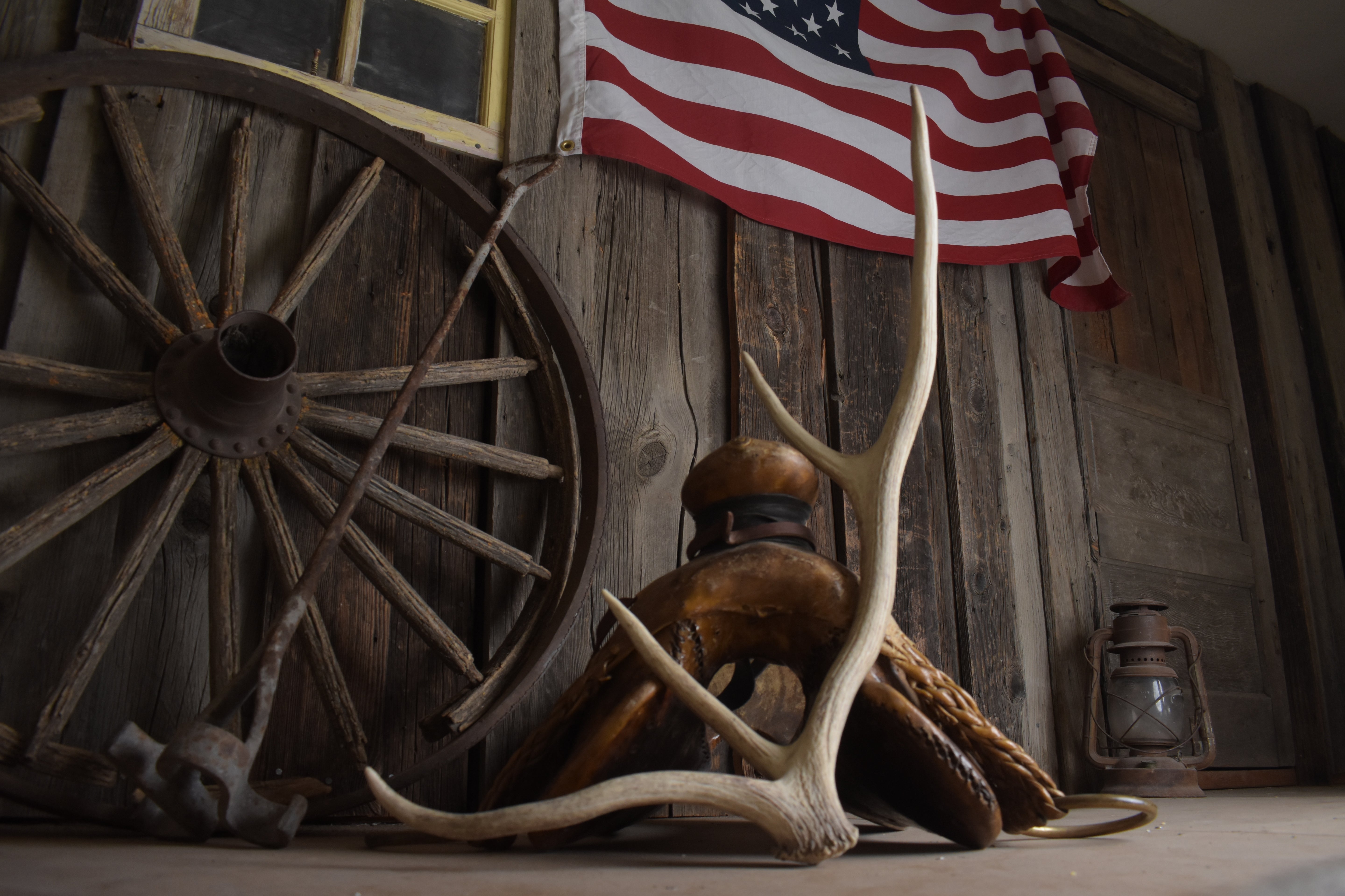 Elk Antler | Small Size | 131