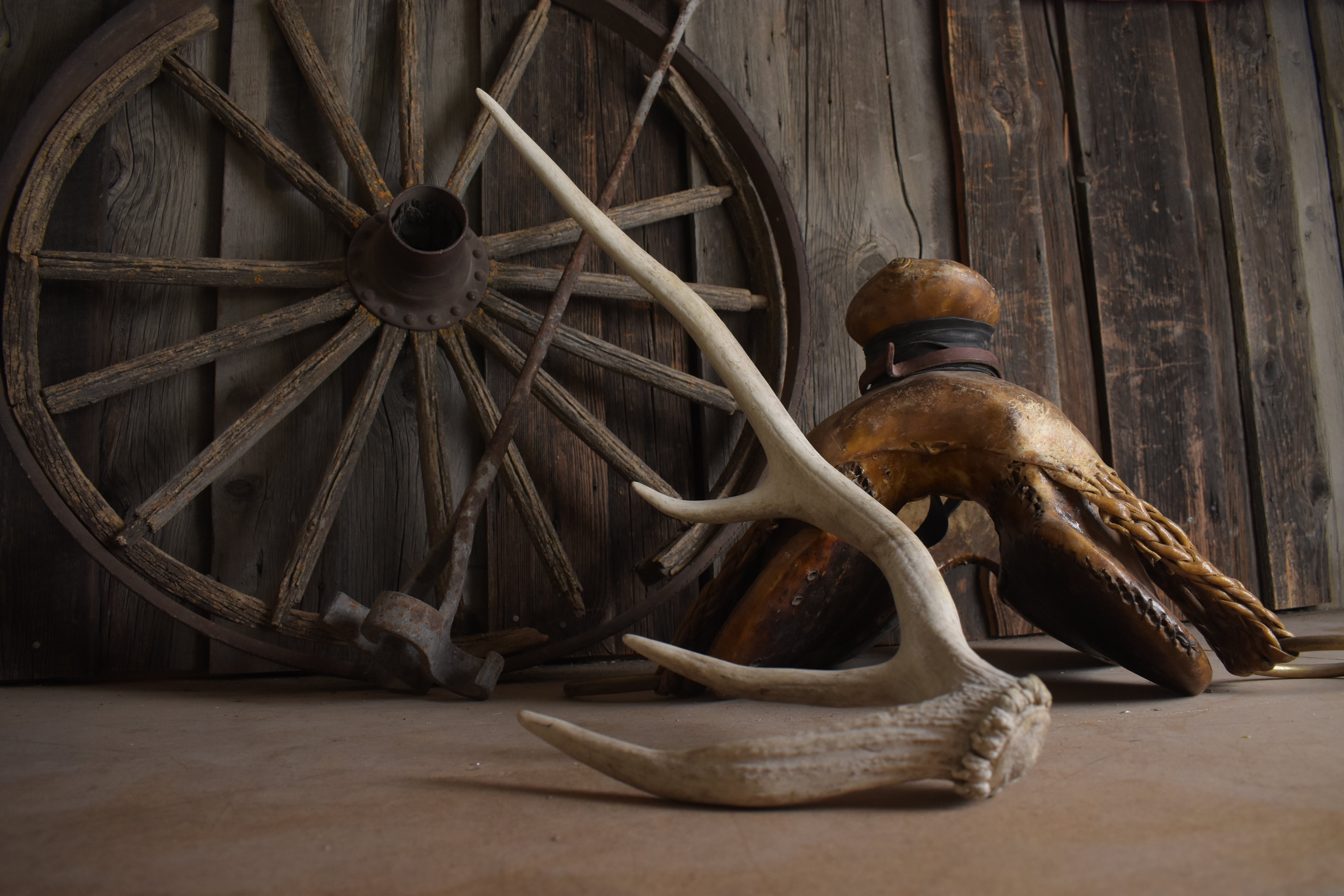 Elk Antler | Small Size | 143