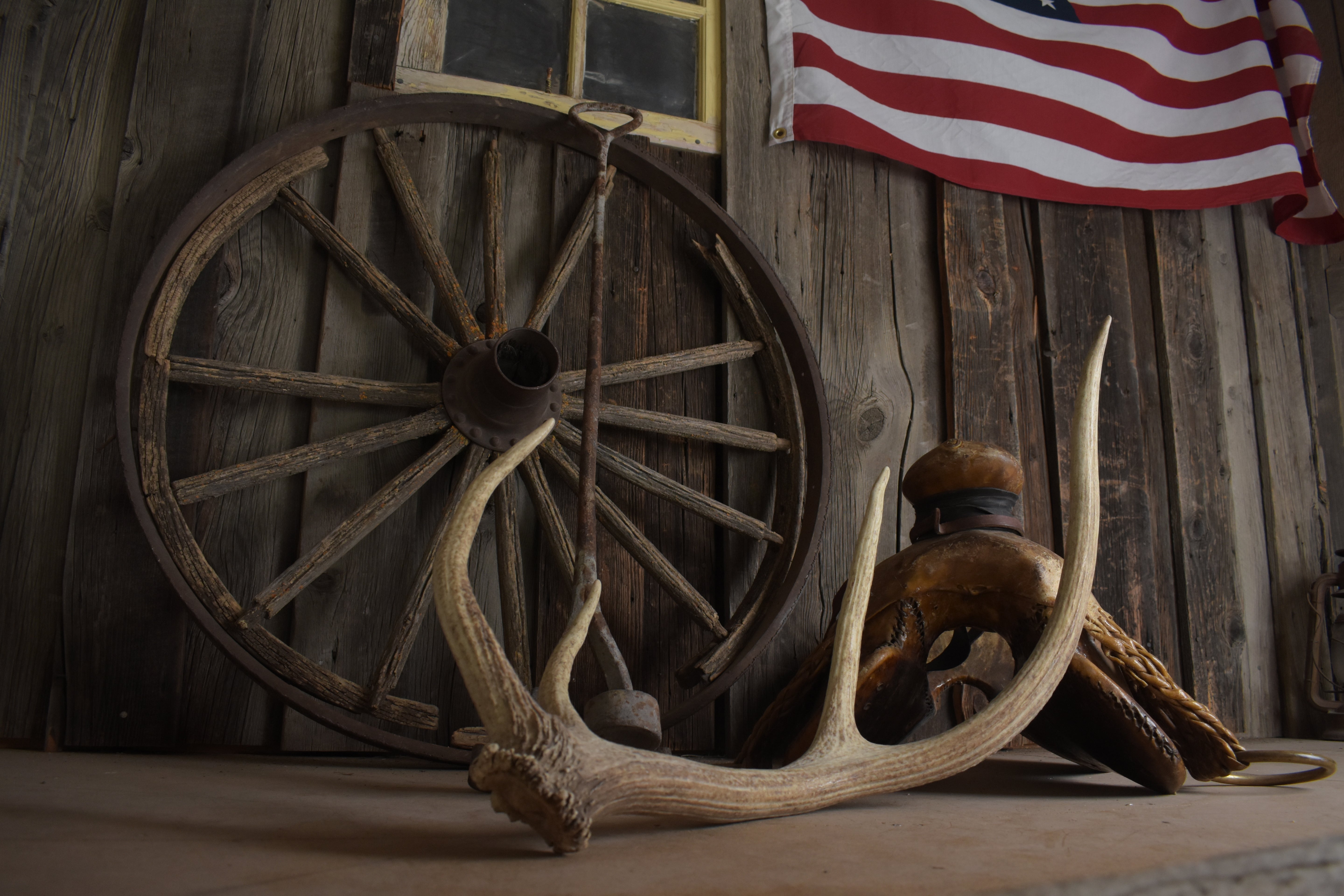 Elk Antler | Small Size | 129