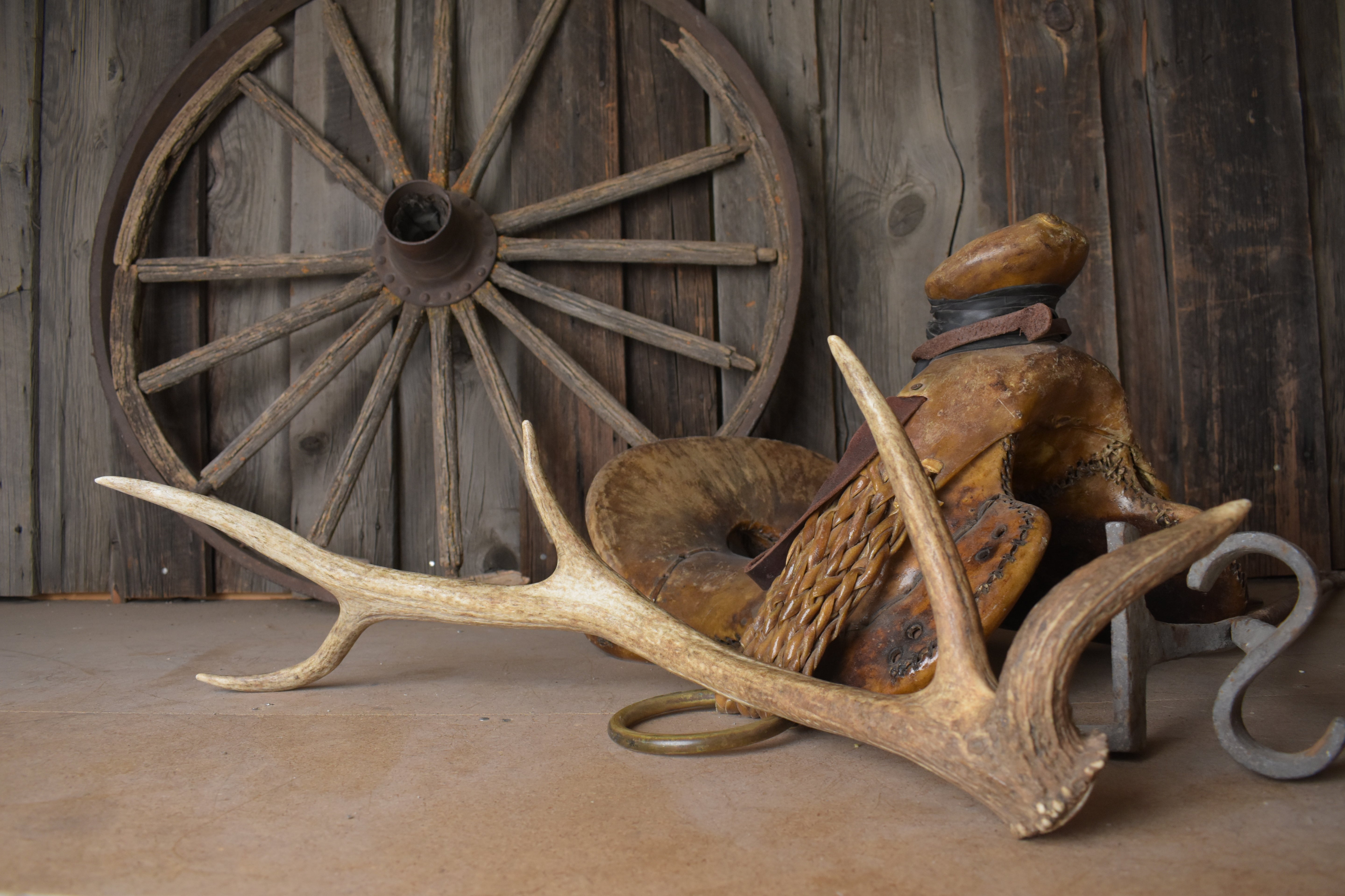 Elk Antler | Small Size | 138
