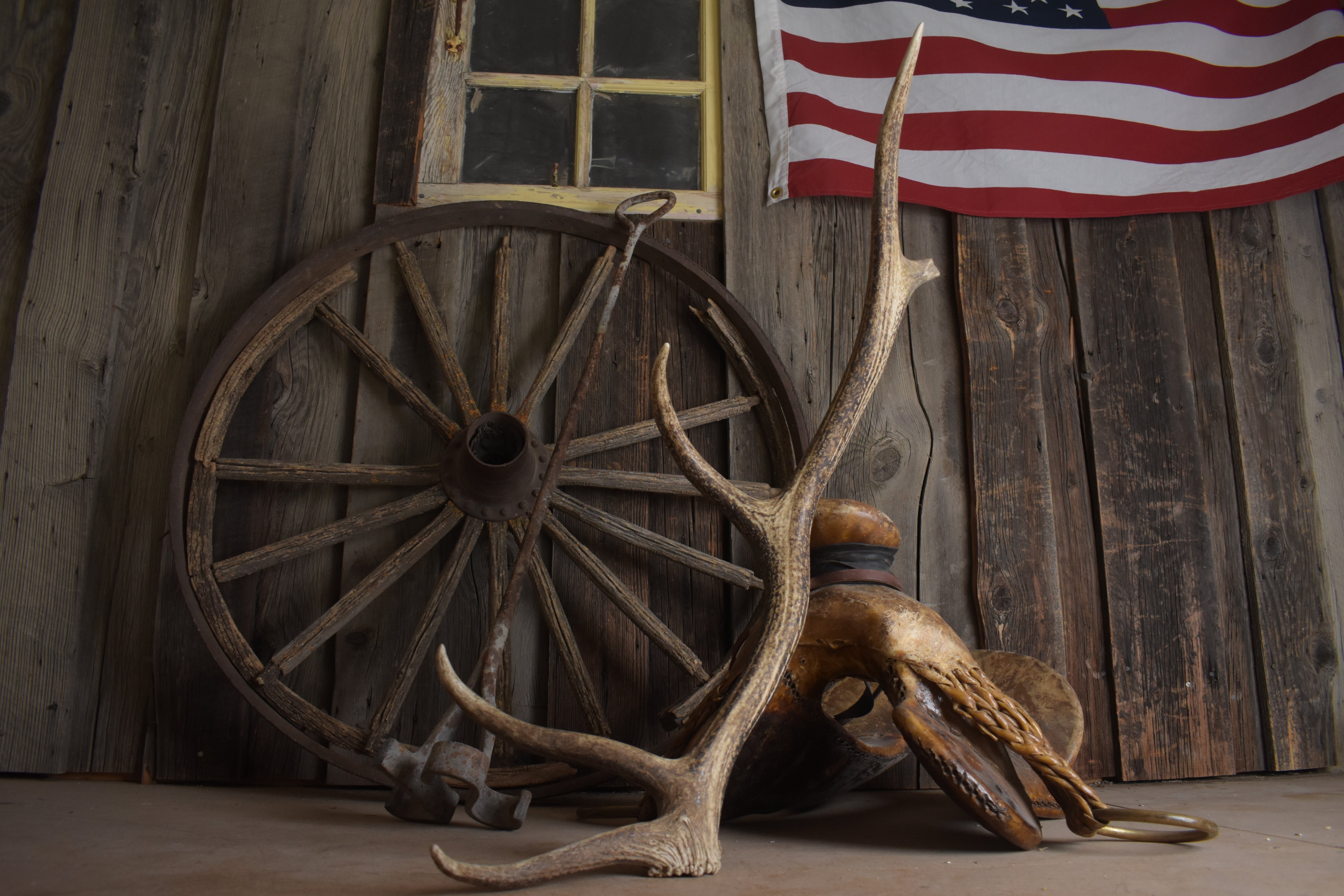 Elk Antler | Small Size | 139