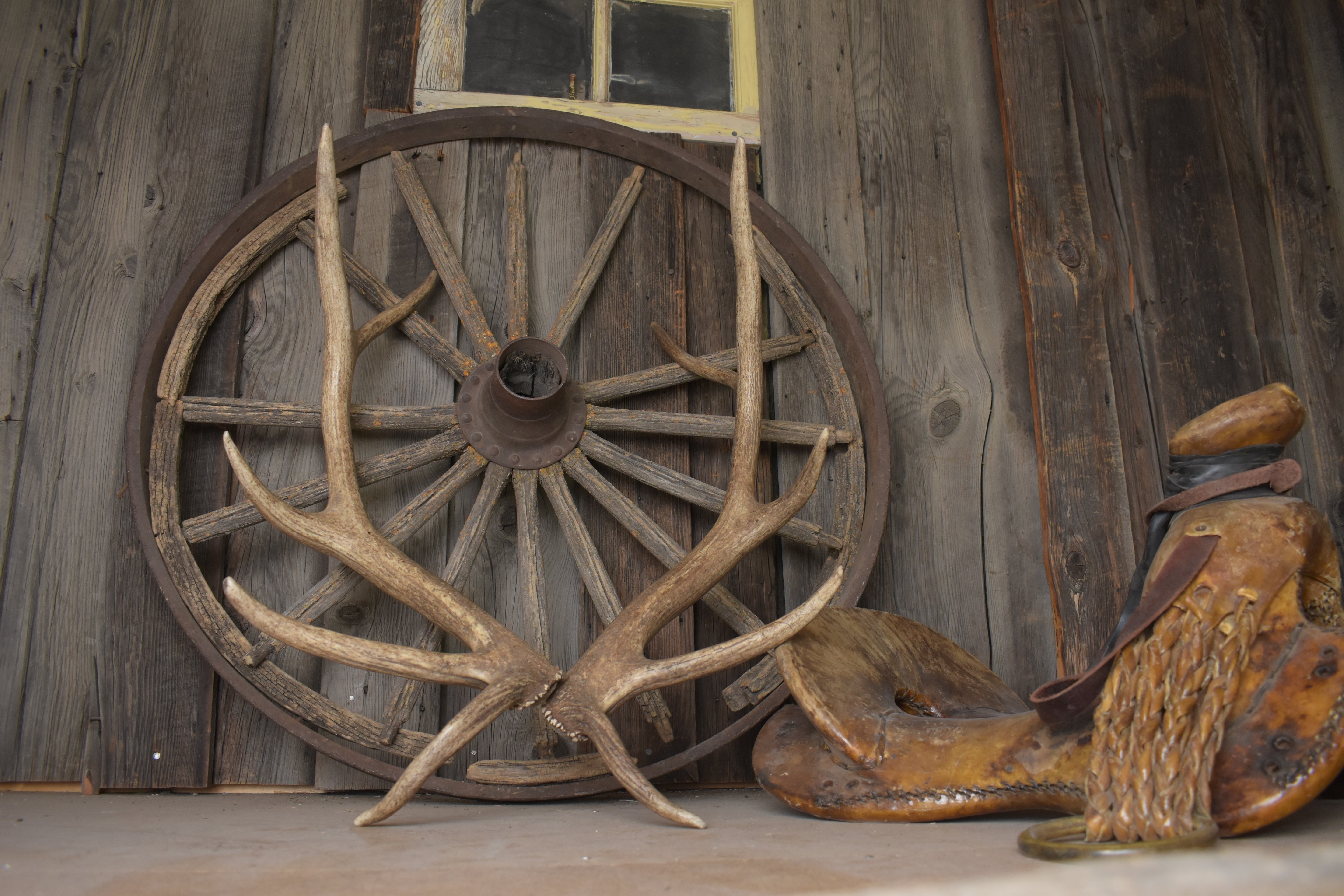 Elk Antler Set | Small | 136