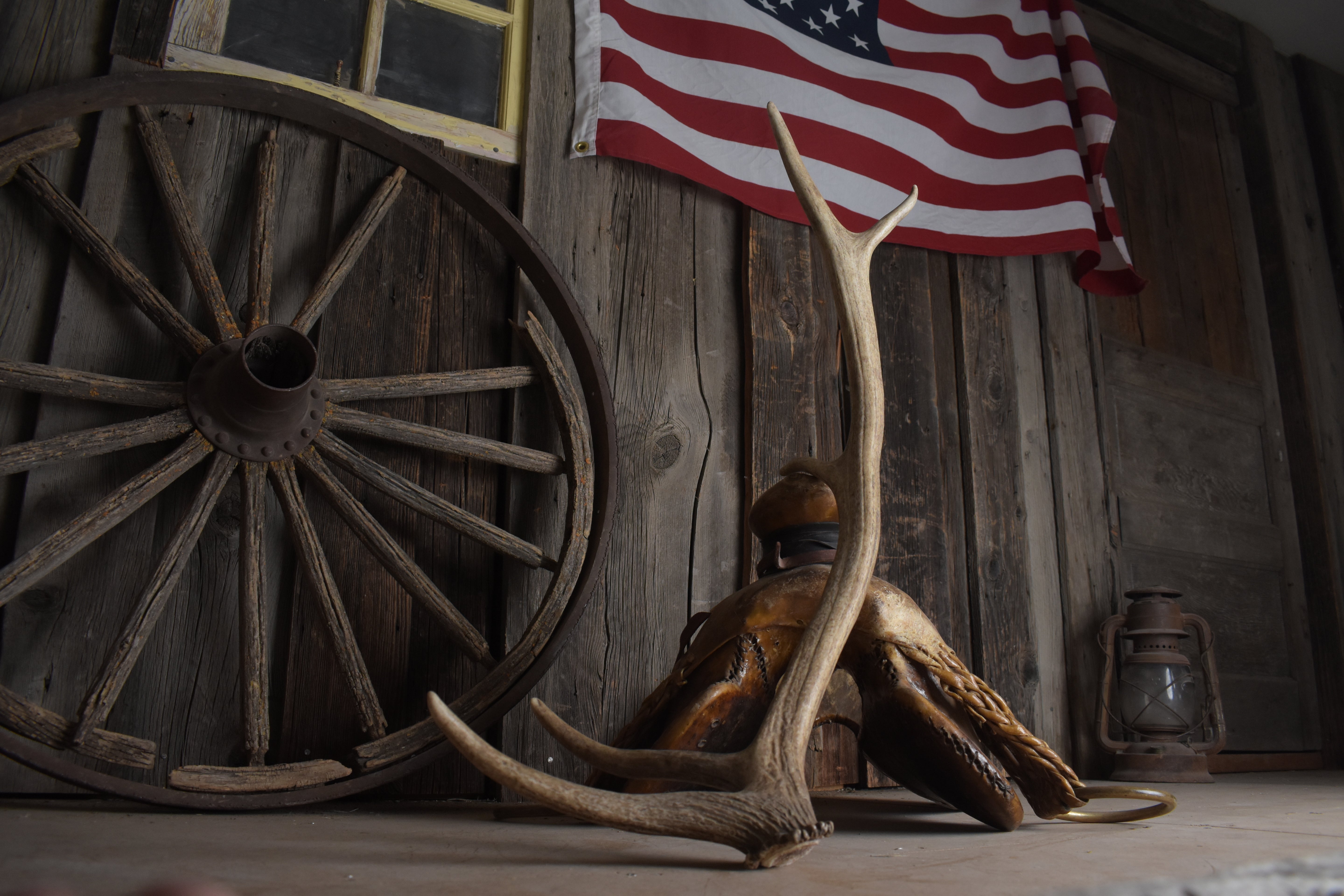 Elk Antler | Small Size | 147