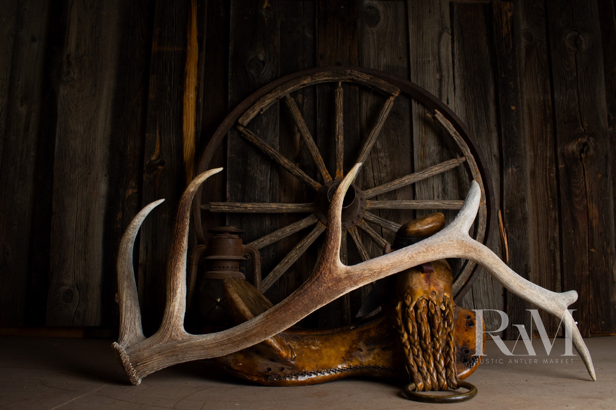 Elk Antler | DF 80
