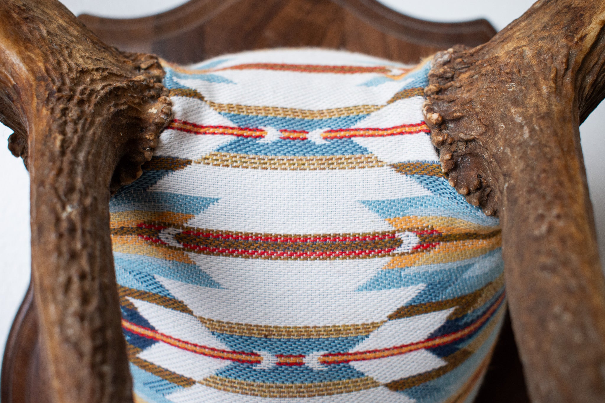 Elk Antler Mount | Sunset | 01