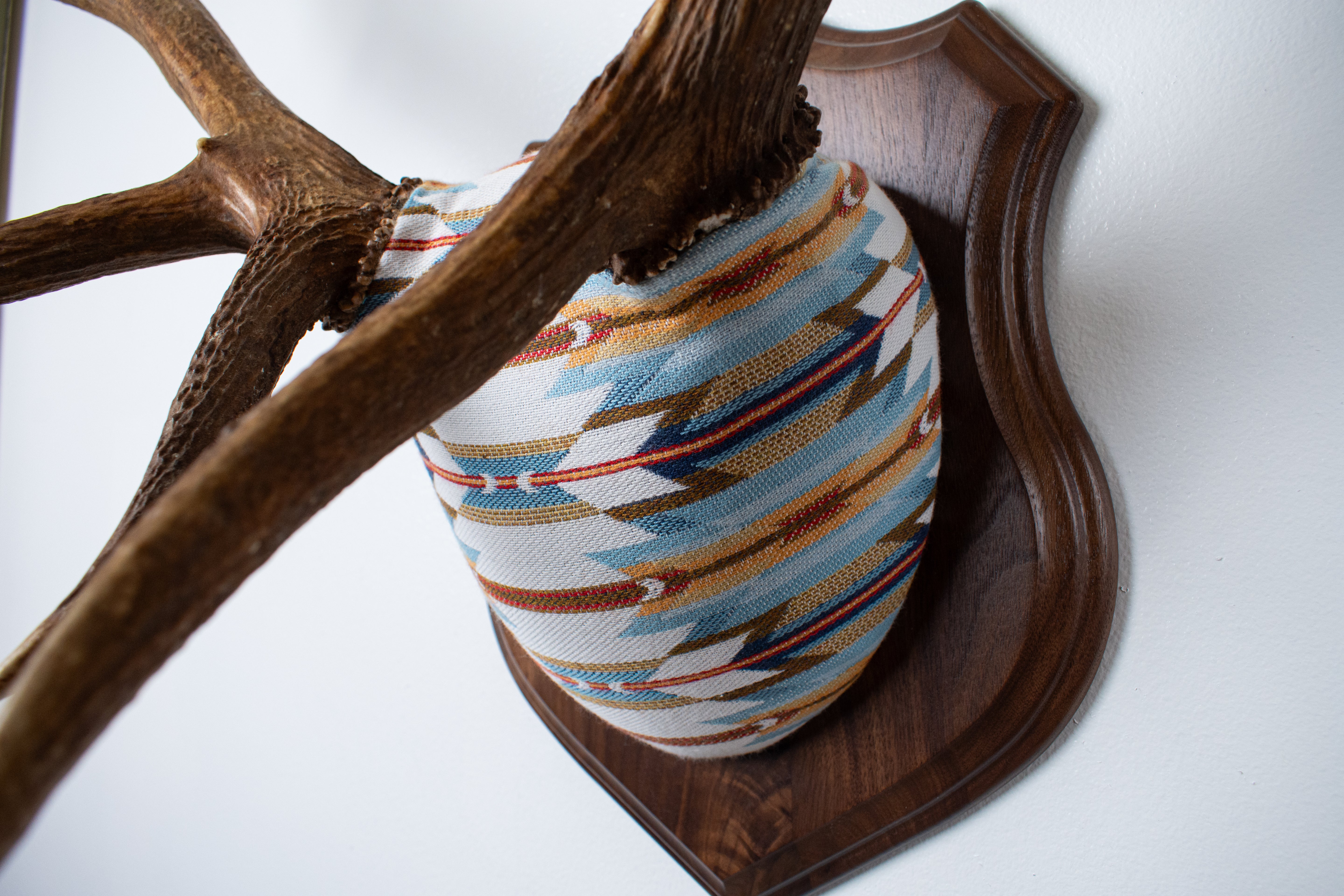 Elk Antler Mount | Sunset | 01