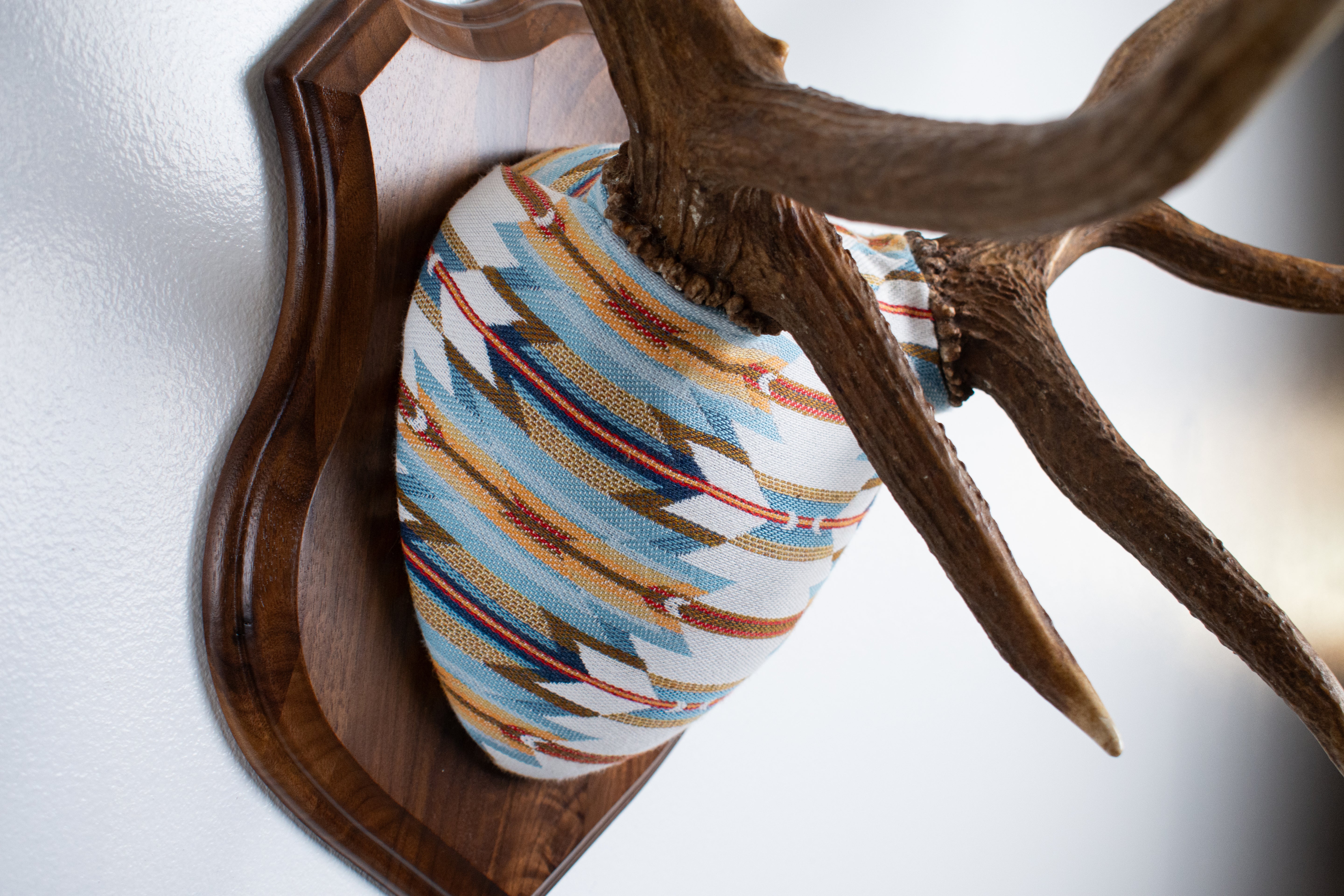 Elk Antler Mount | Sunset | 01