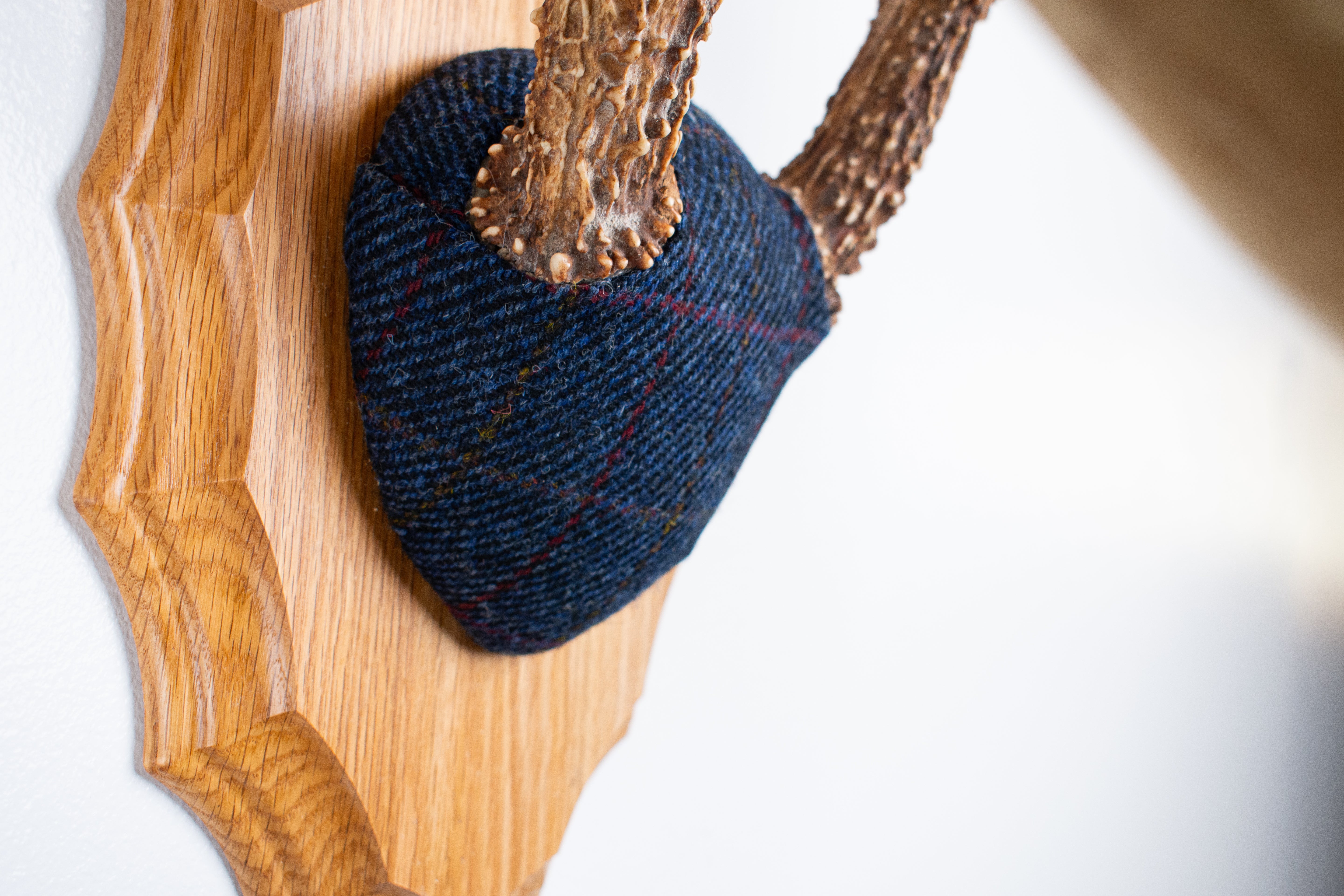 Whitetail Deer Antler Mount | Blue with Red Overcheck | 09