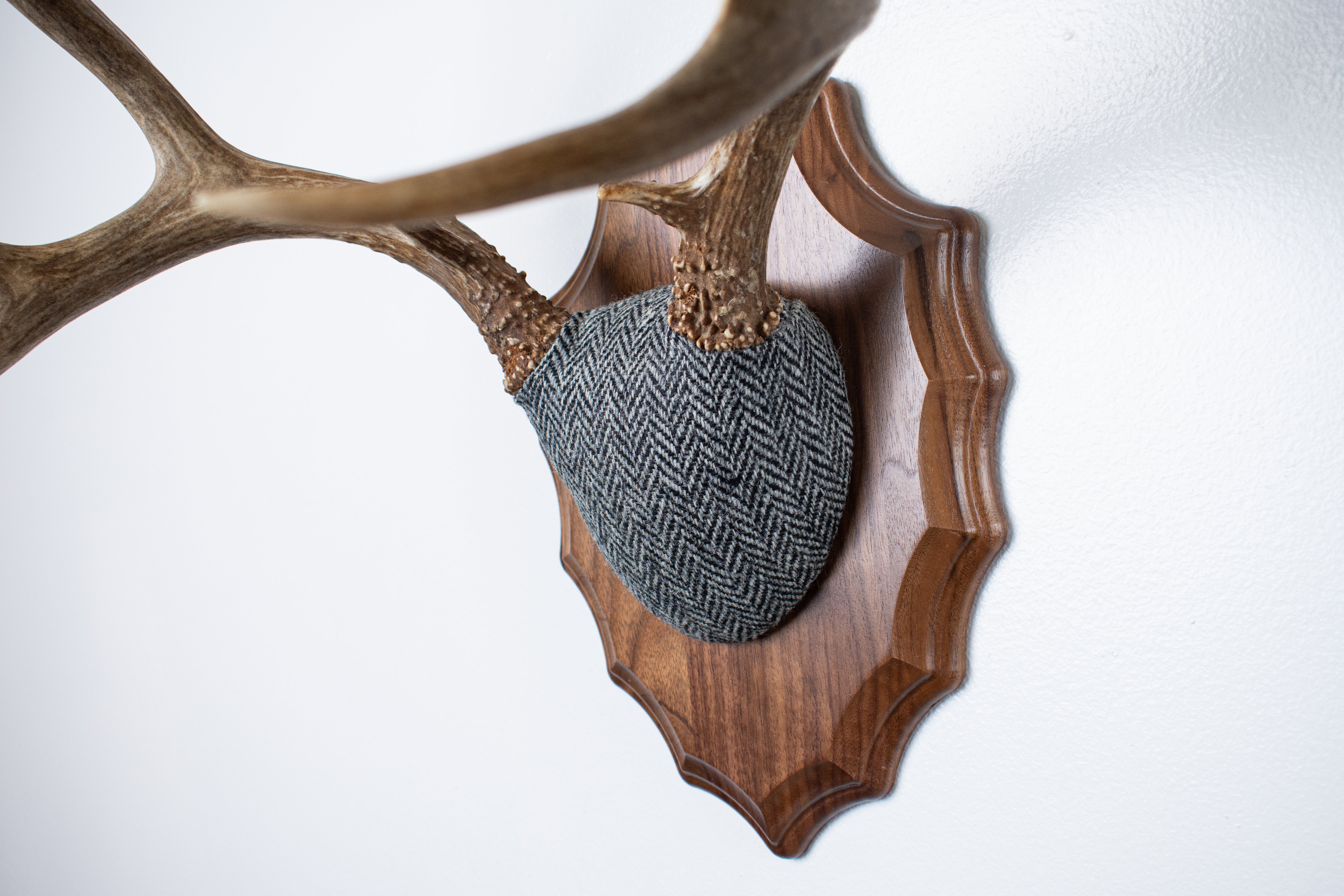 Mule Deer Antler Mount | Grey & Black Herringbone | 10