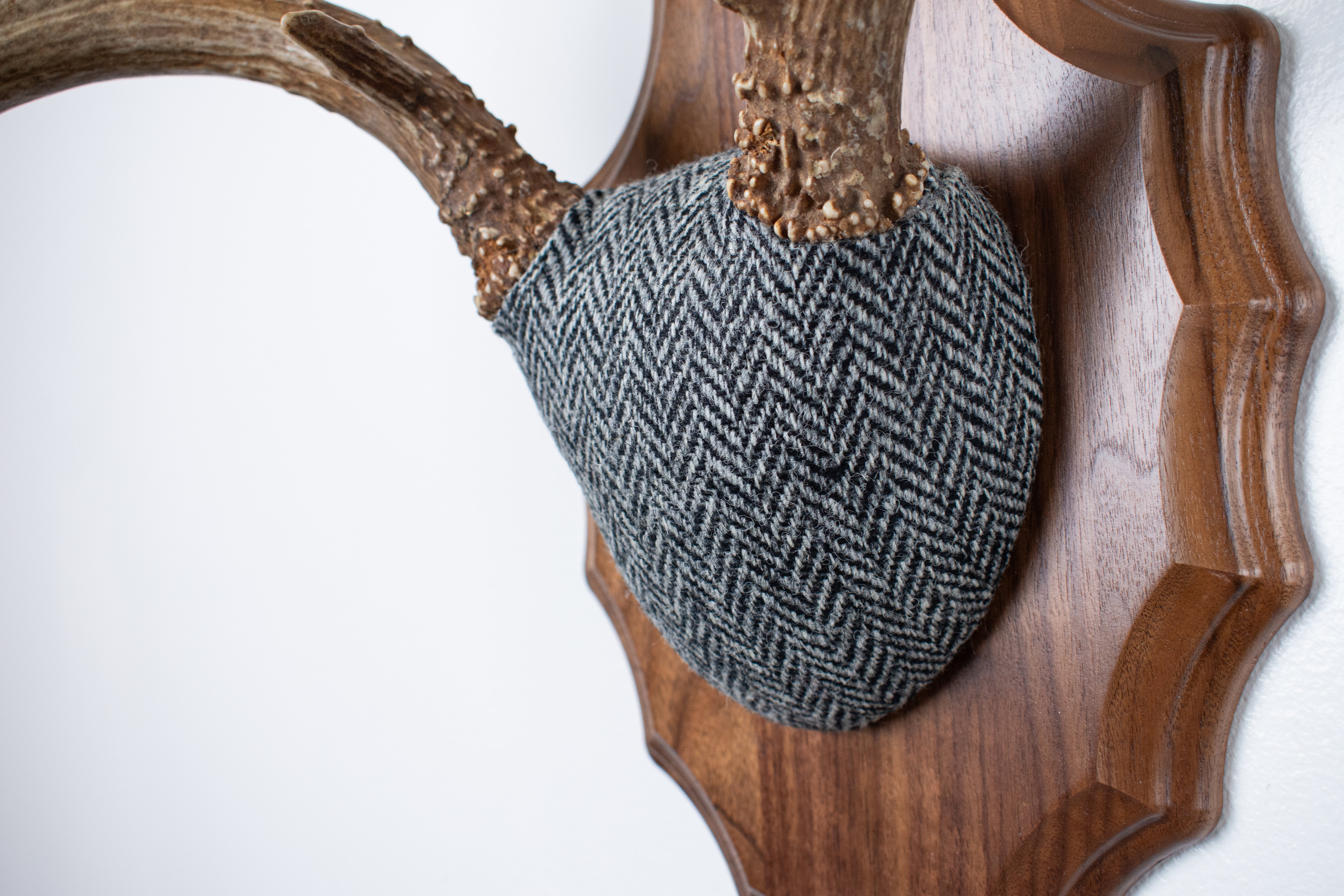 Mule Deer Antler Mount | Grey & Black Herringbone | 10