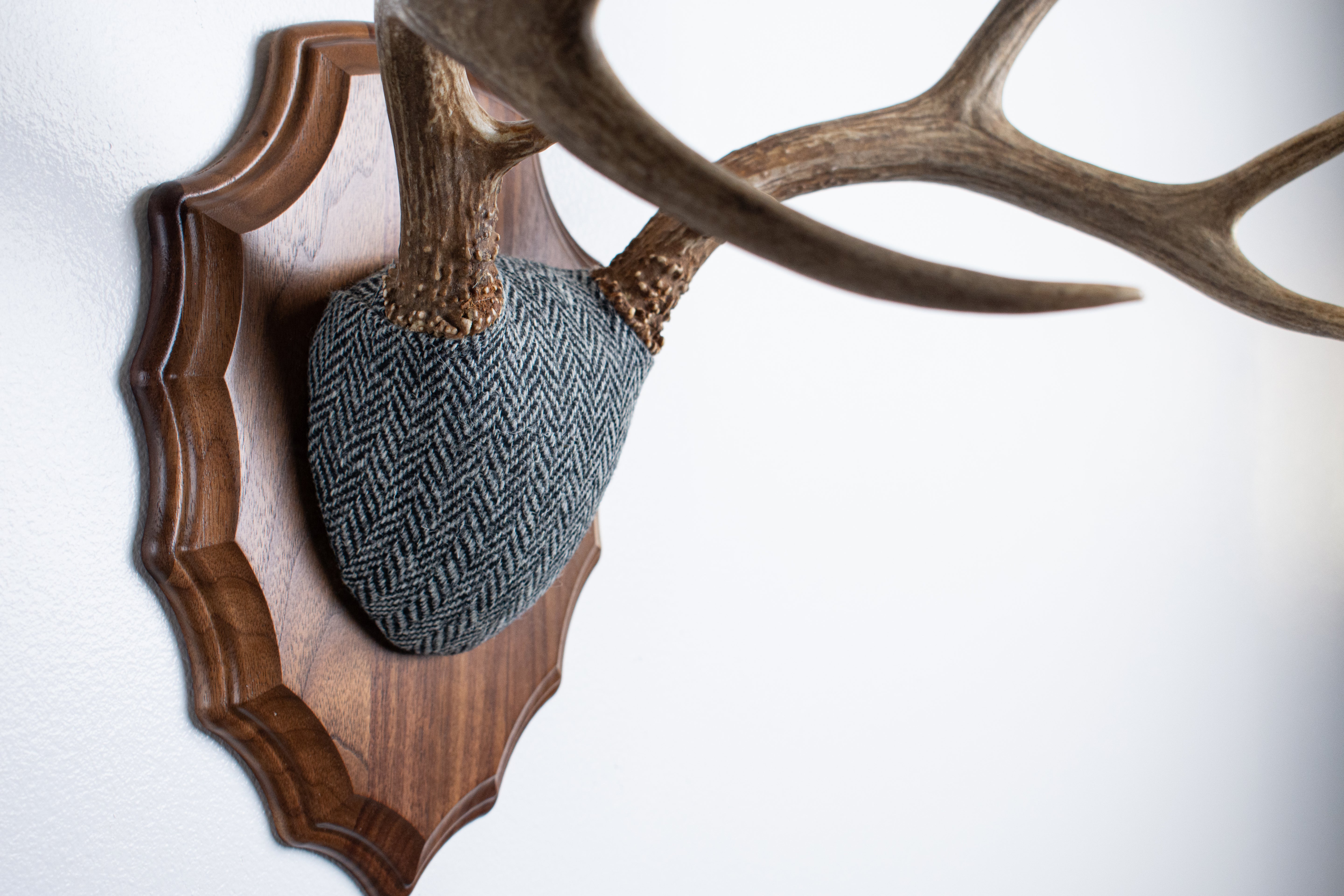 Mule Deer Antler Mount | Grey & Black Herringbone | 10