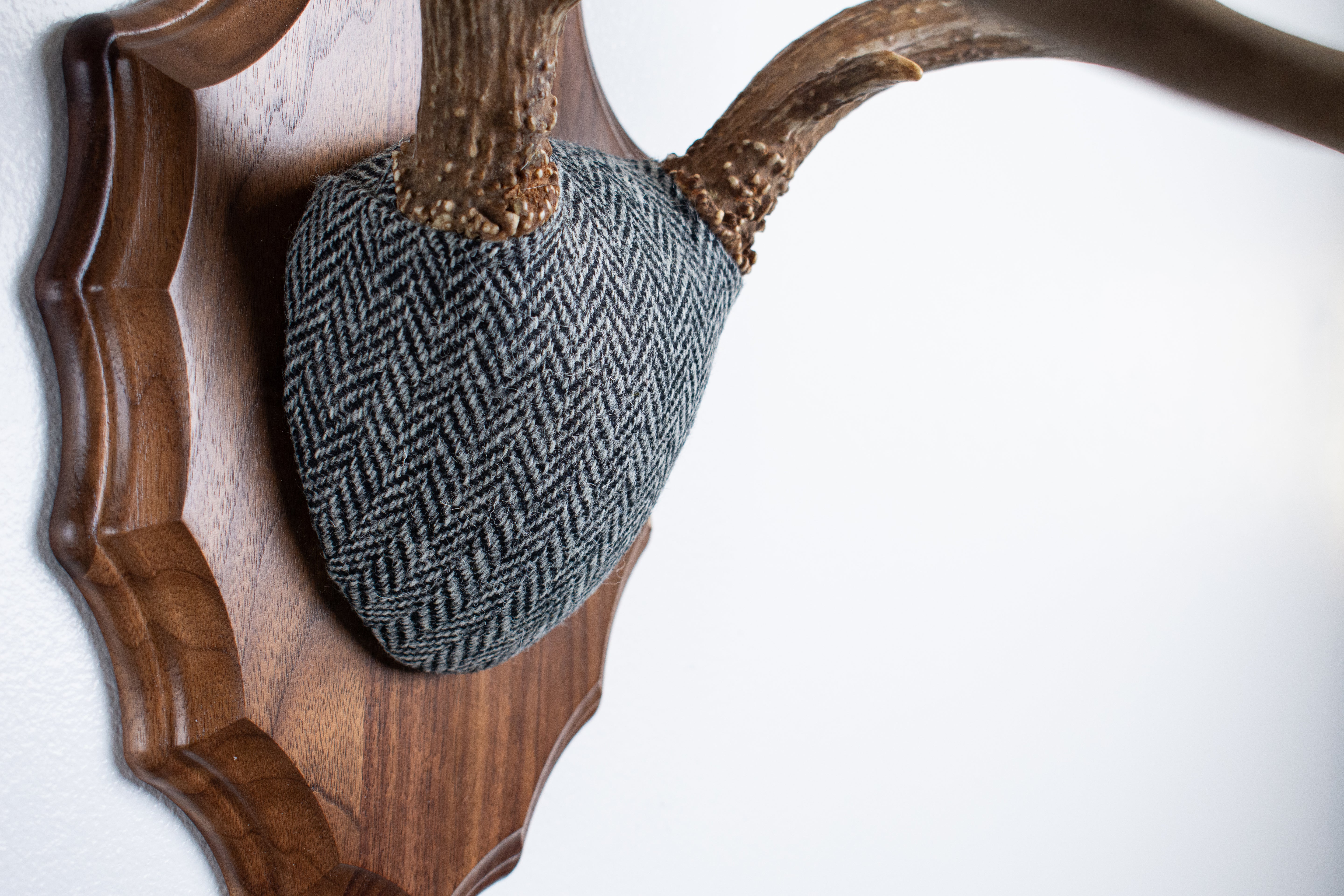 Mule Deer Antler Mount | Grey & Black Herringbone | 10