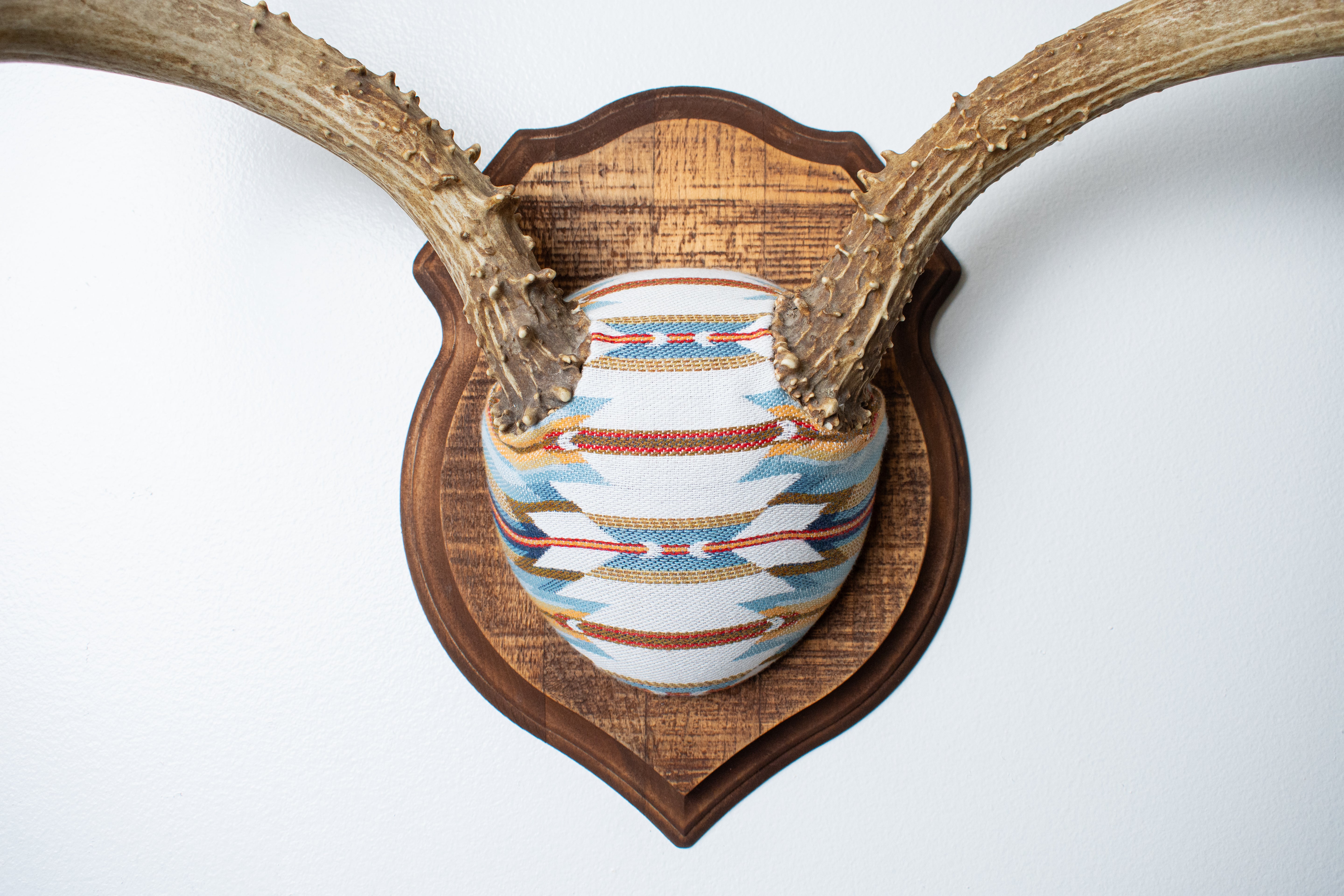 Mule Deer Antler Mount | Sunset | 02