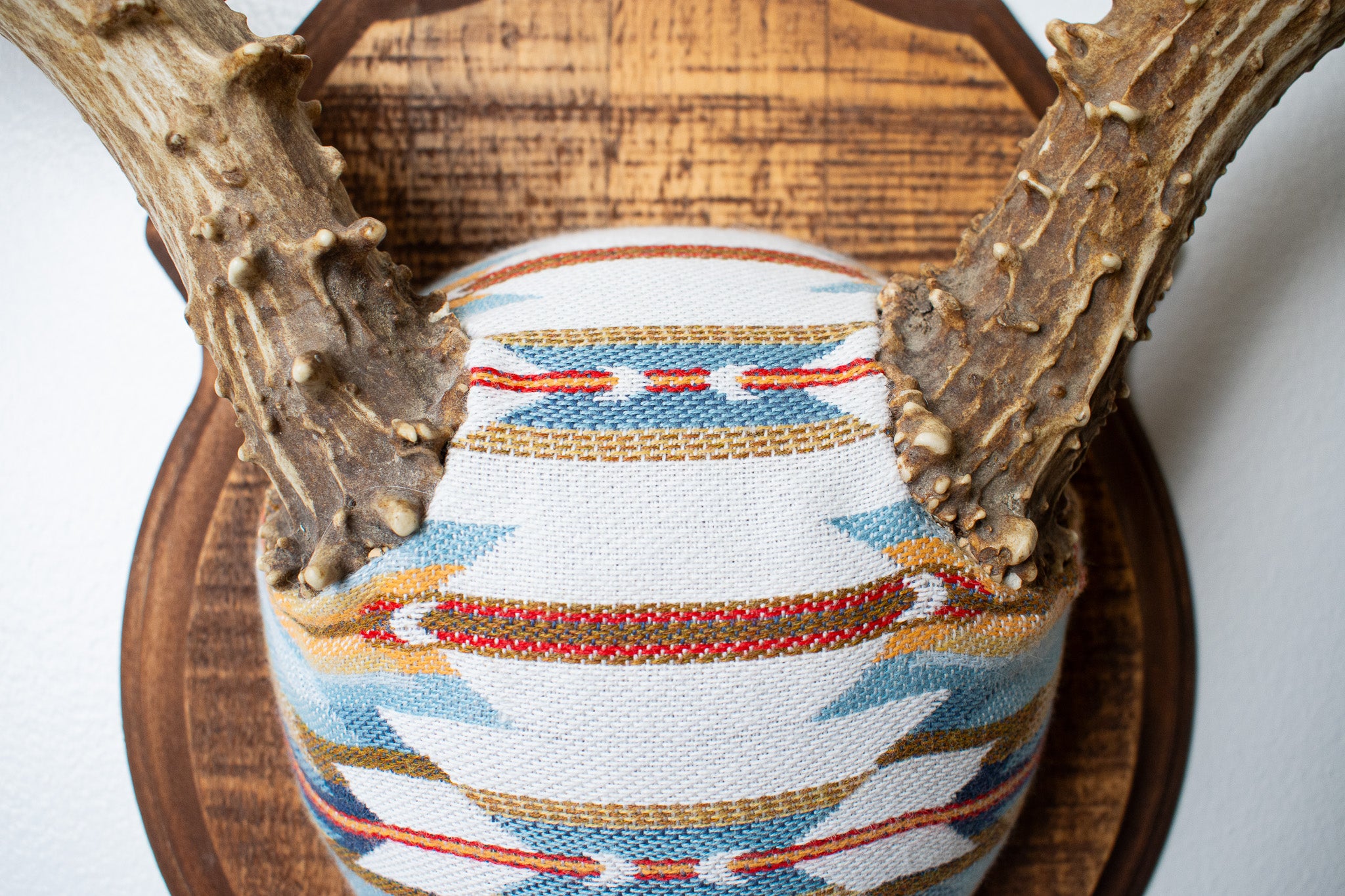 Mule Deer Antler Mount | Sunset | 02